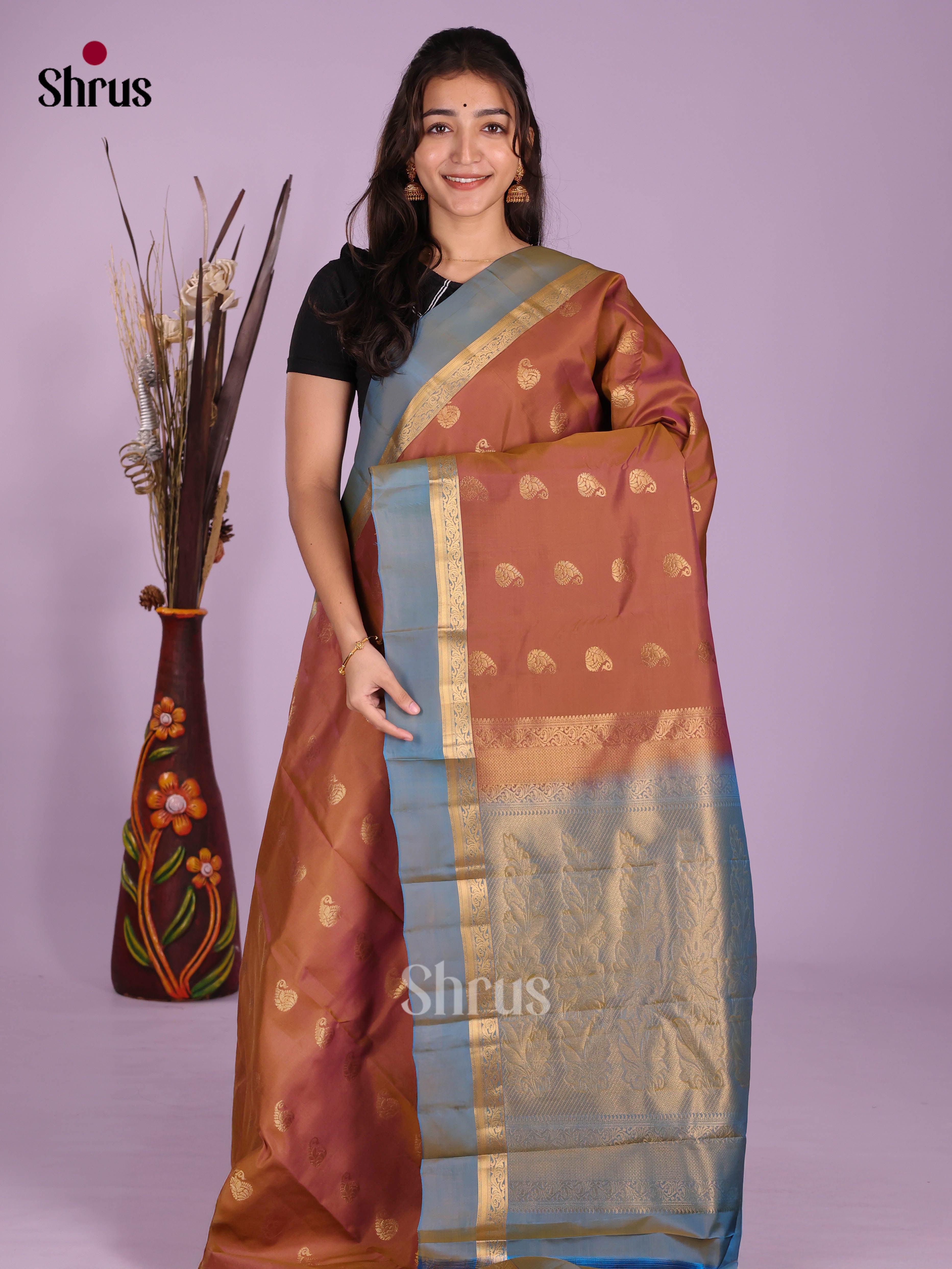 Brown & Blue - Kanchipuram-halfpure Saree