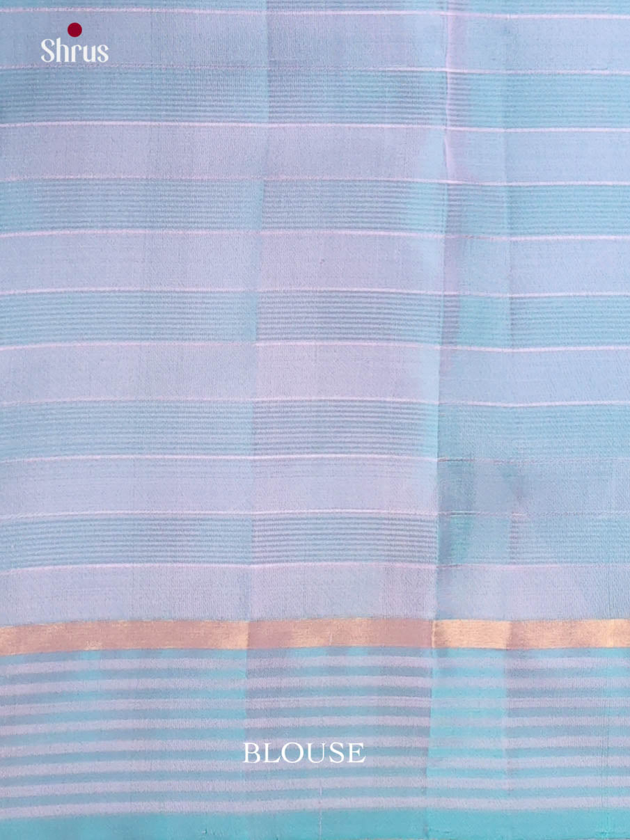 DKS11130 - Kanchipuram silk (LR) Saree