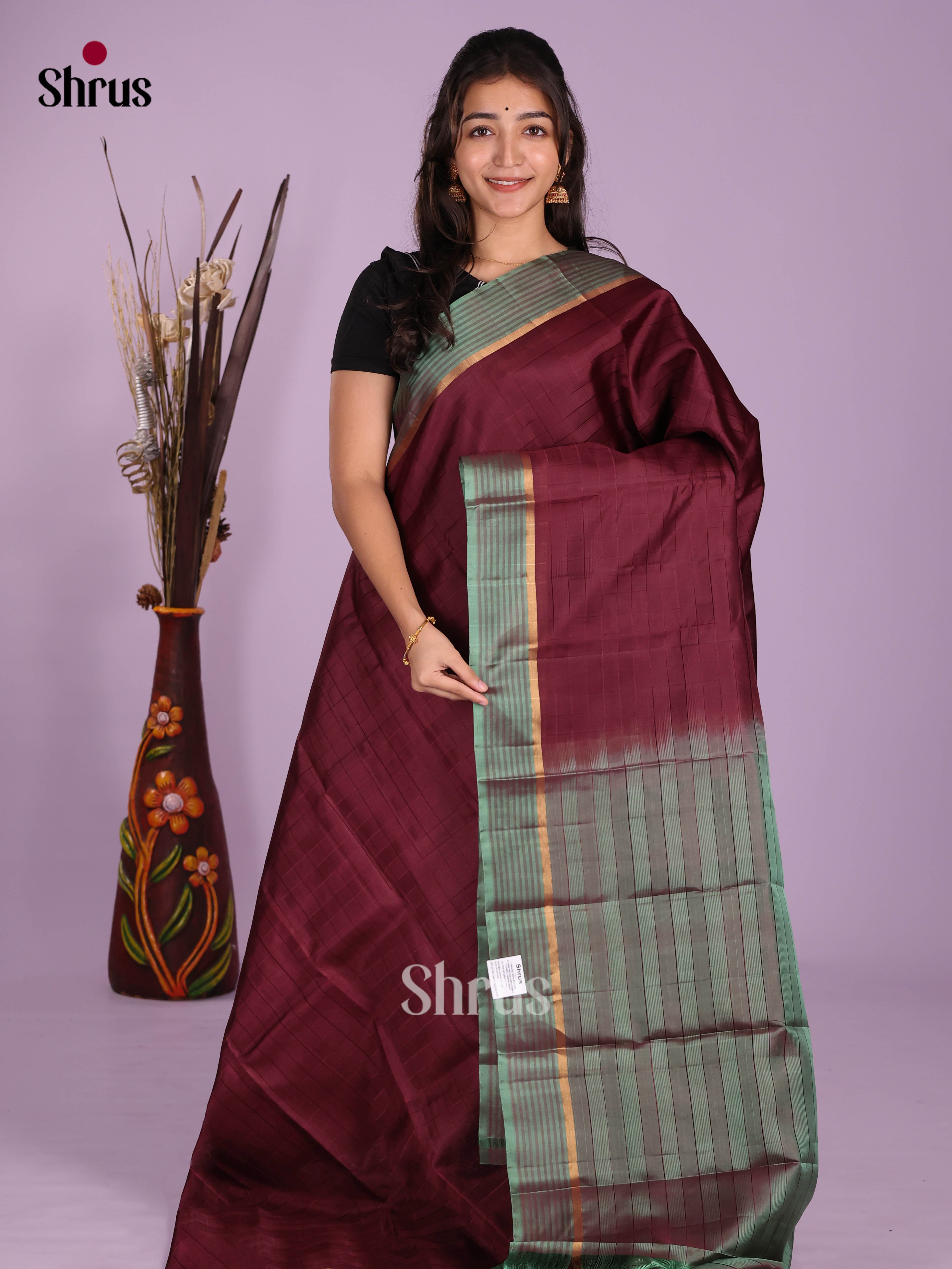 DKS11141 - Kanchipuram silk (LR) Saree