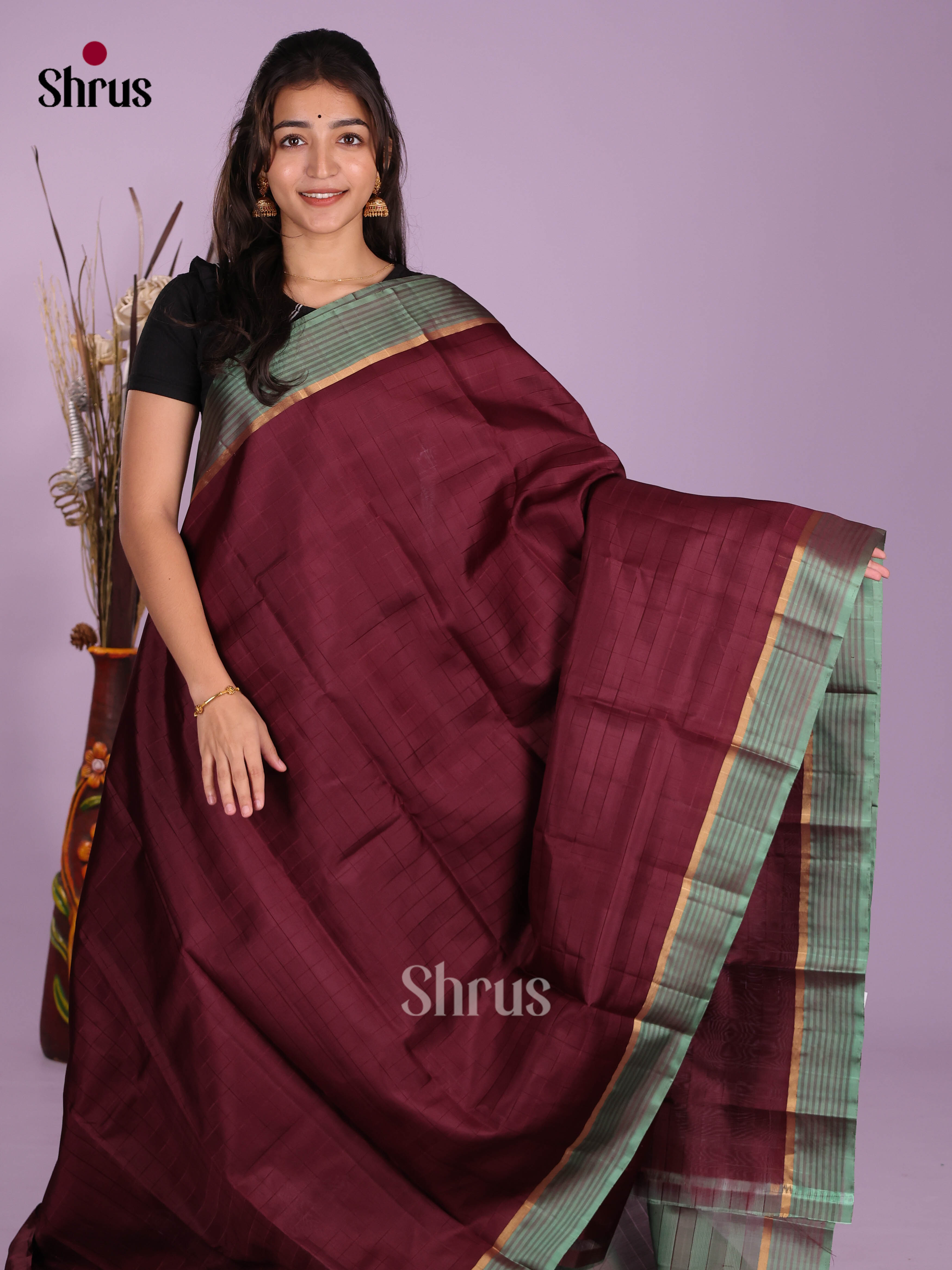 DKS11141 - Kanchipuram silk (LR) Saree