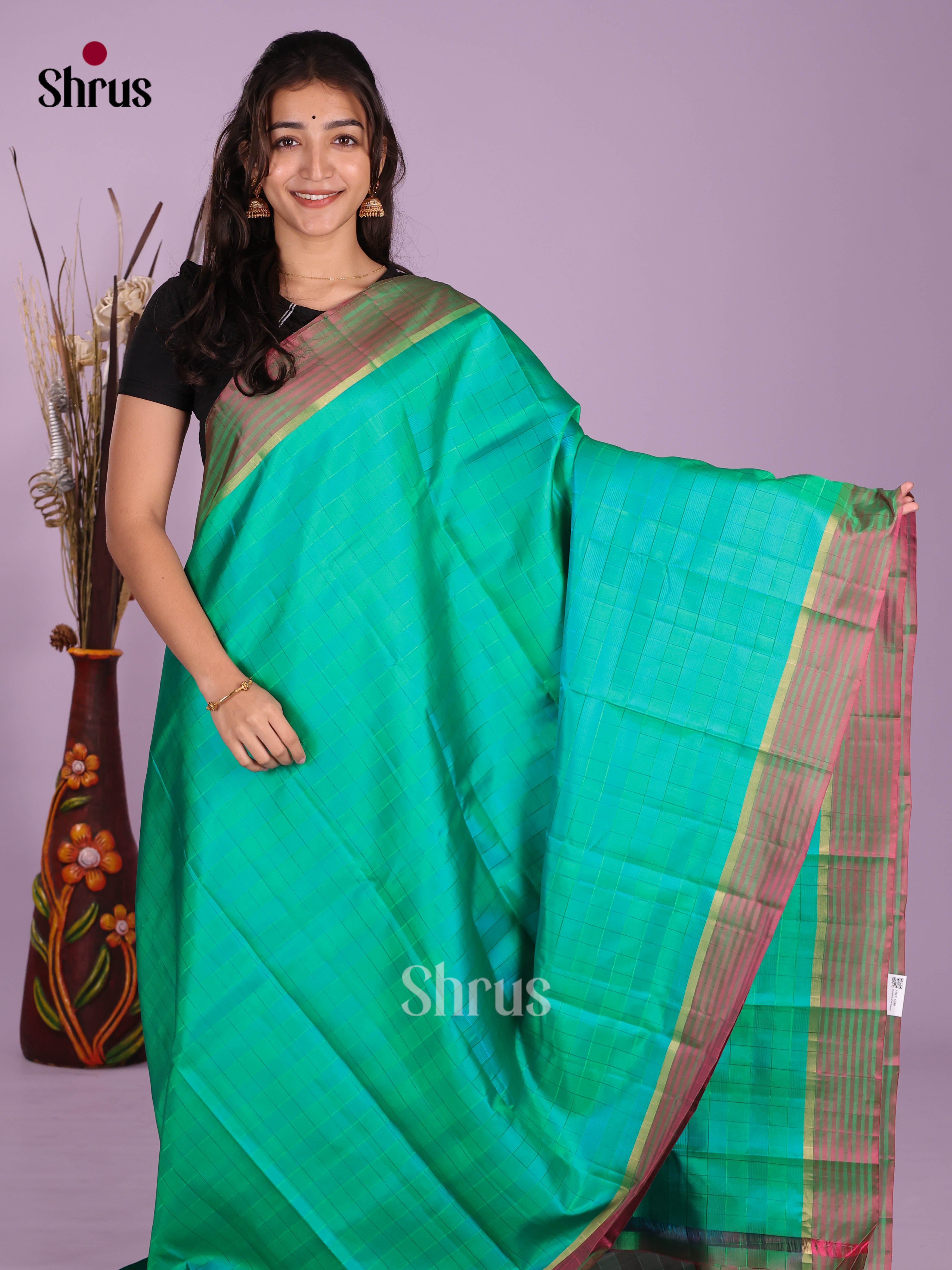 DKS11143 - Kanchipuram silk (LR) Saree