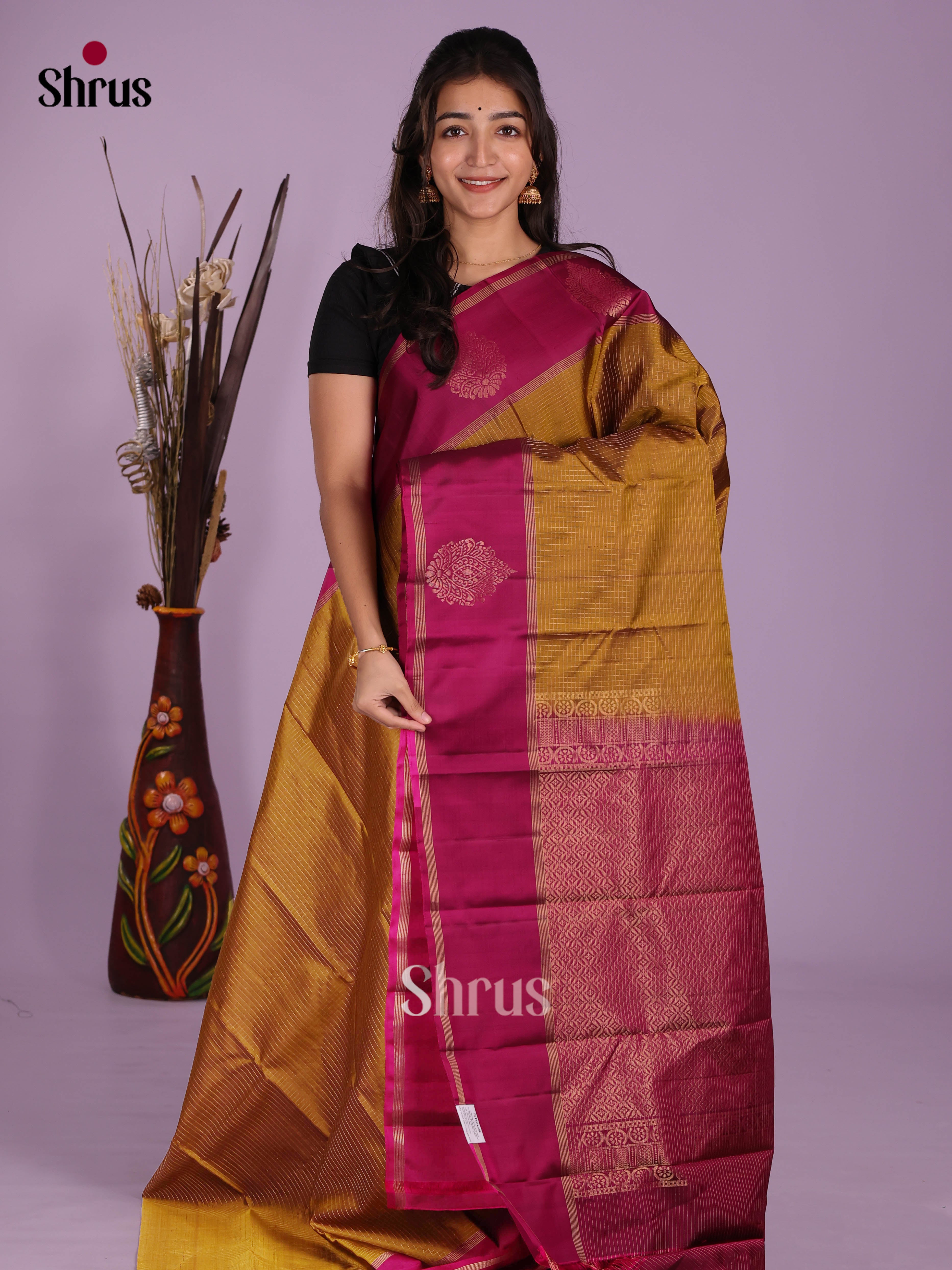 DKS11172 - Kanchipuram silk (HR) Saree - Shop on Shrus.com