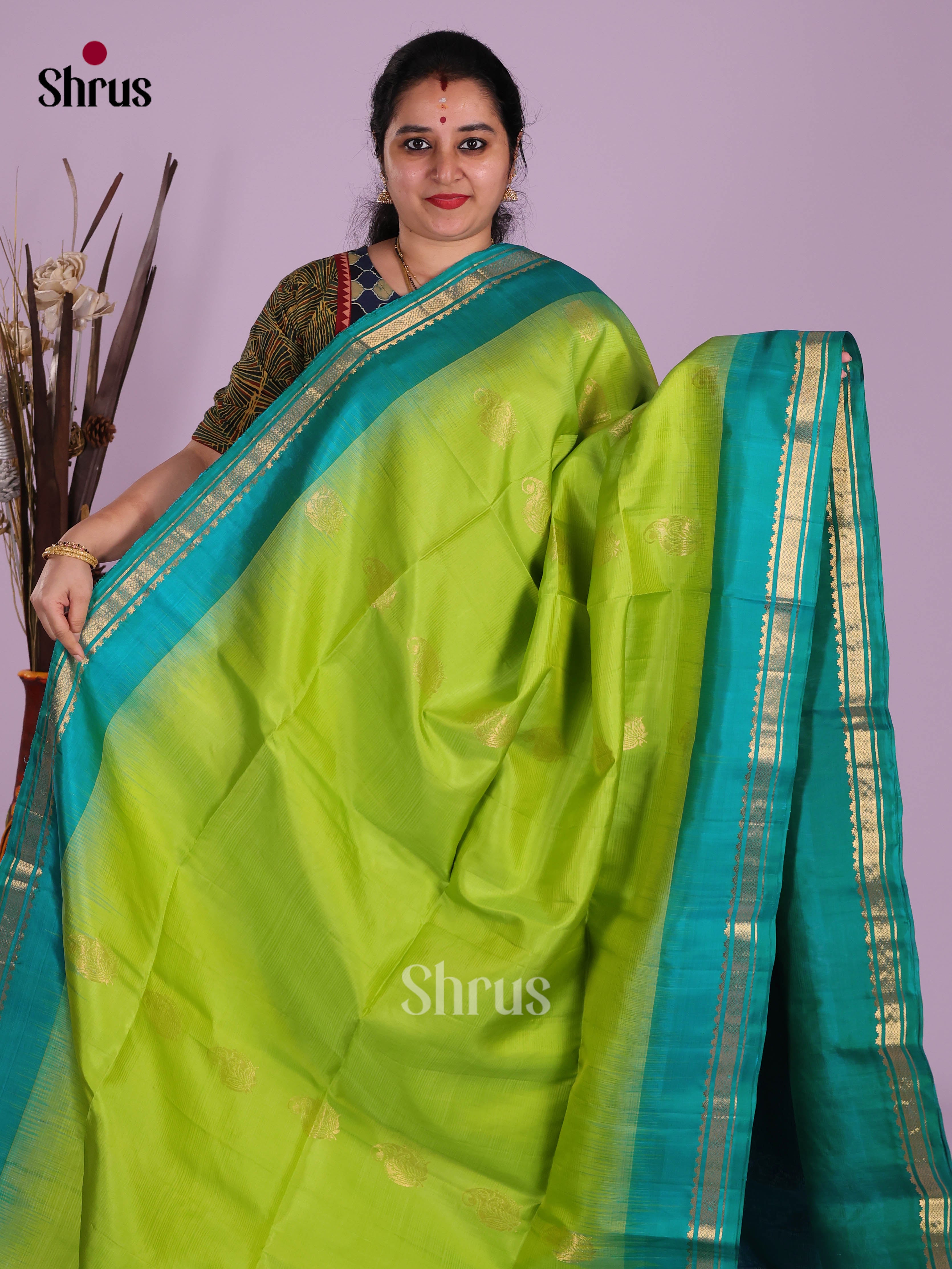 Lustrous Light Green Soft Silk  Saree withzari buttas & brocade pallu - Shop on Shrus.com