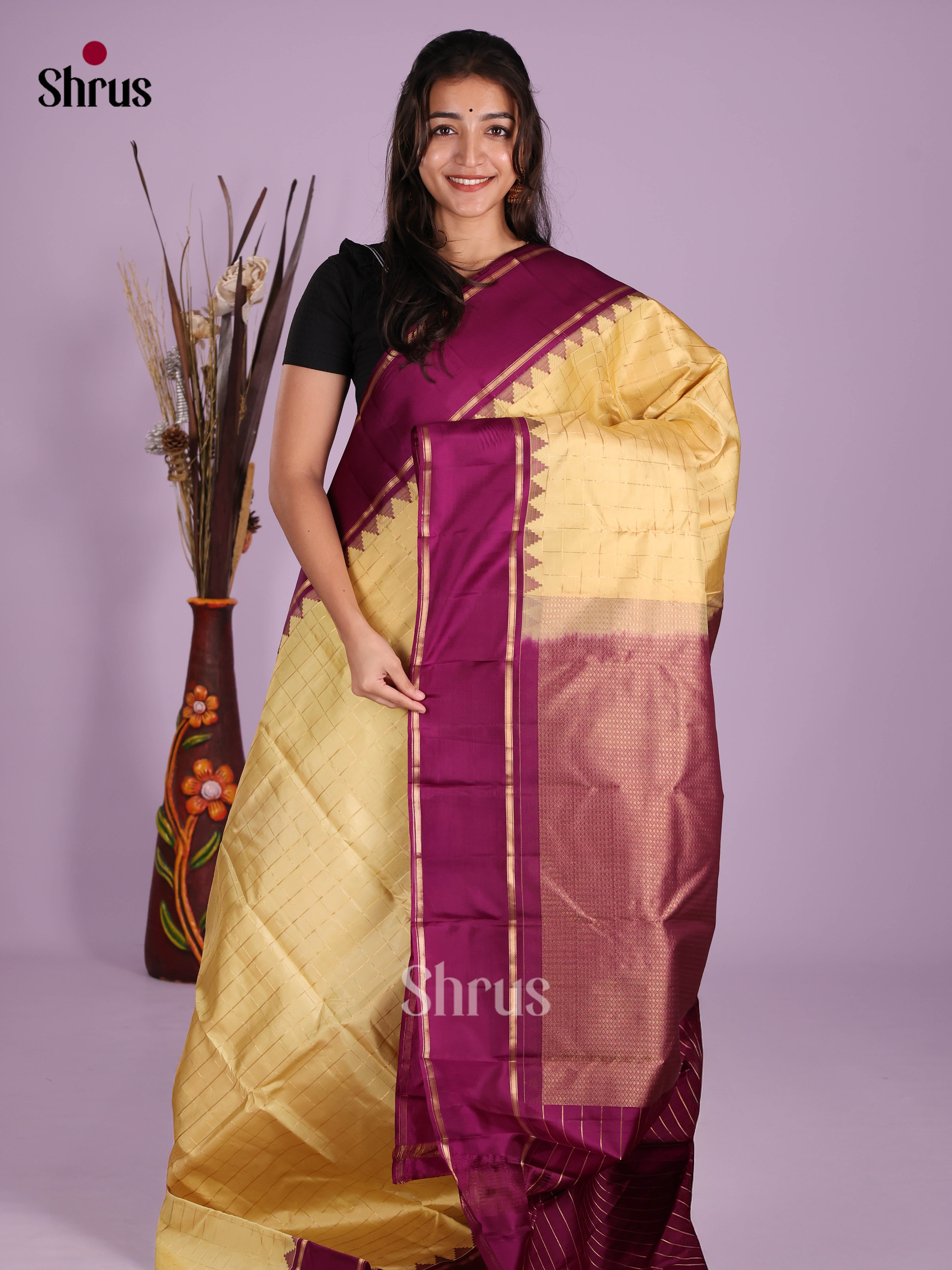 DKS11212 - Kanchipuram silk (HR) Saree