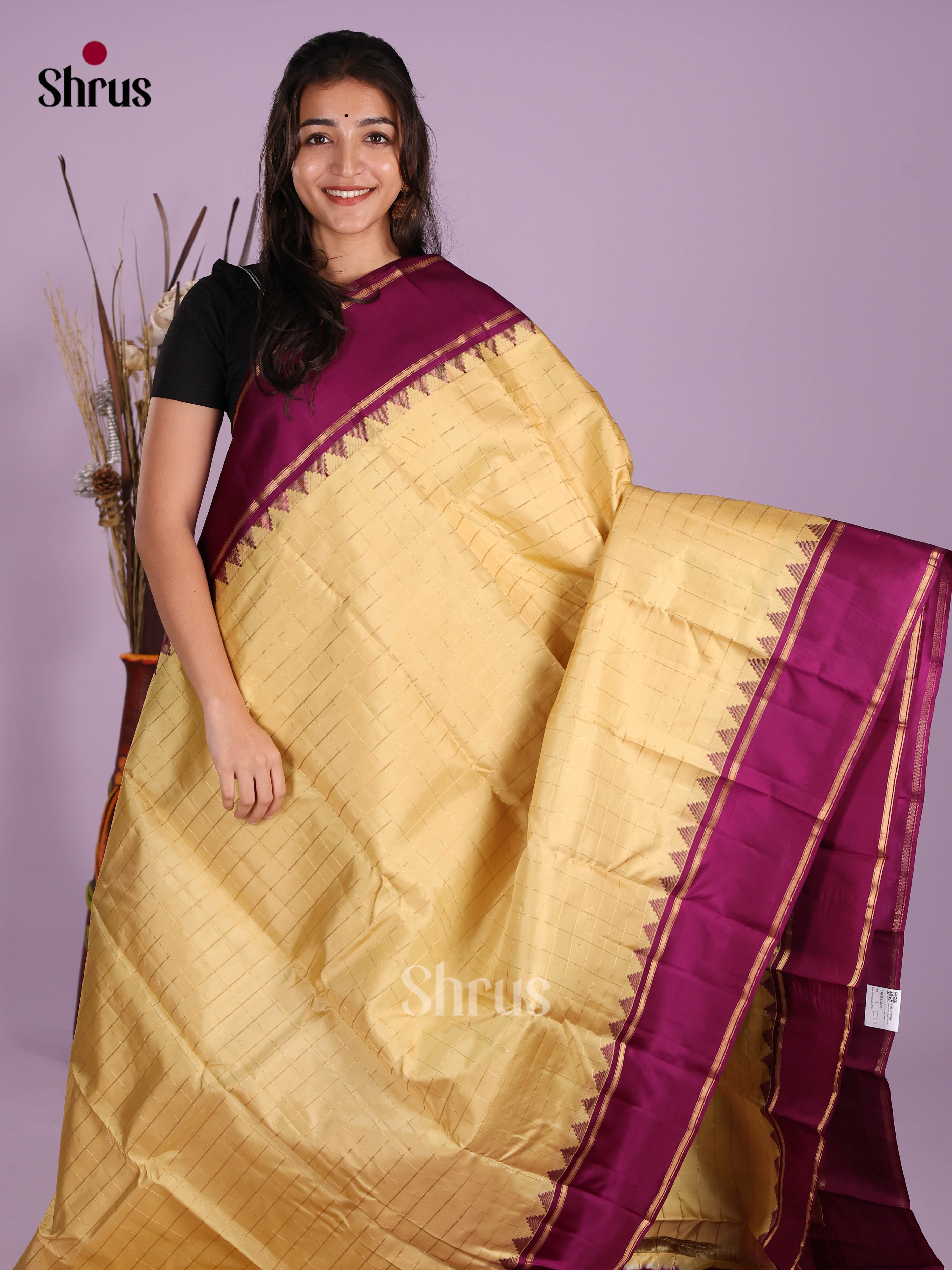 DKS11212 - Kanchipuram silk (HR) Saree