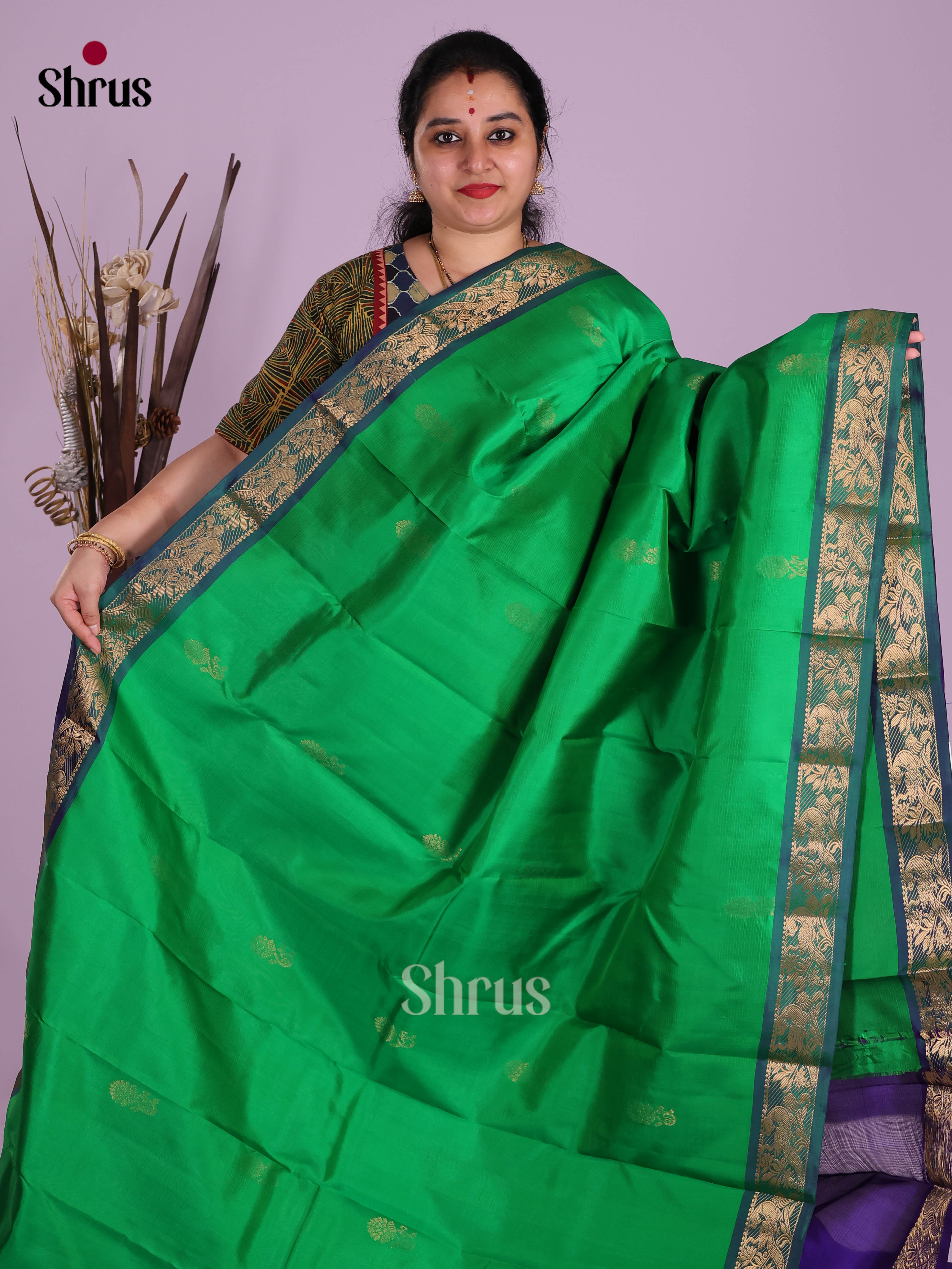 DKS11251 - Kanchipuram silk (HR) Saree