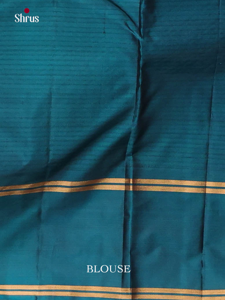 DKS11254 - Kanchipuram silk (LR) Saree