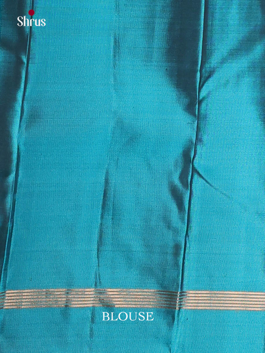 DKS11259 - Kanchipuram silk (LR) Saree