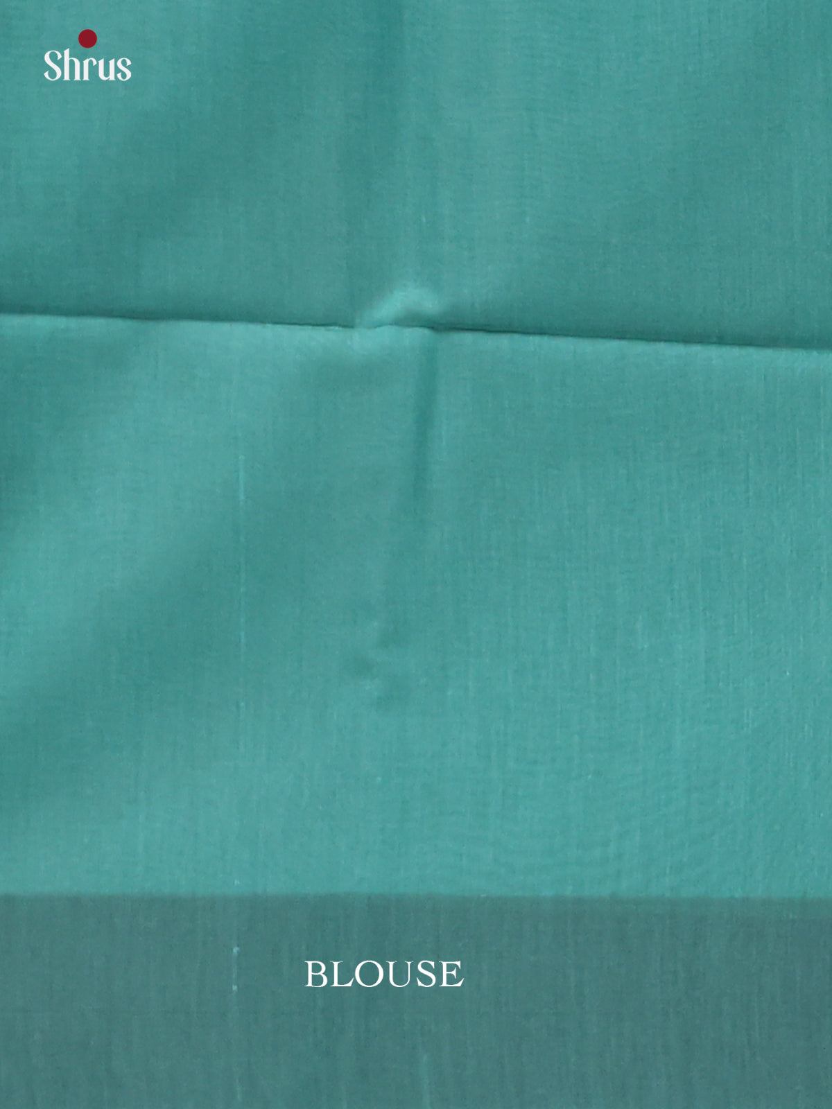 Pastel Blue & Green  - Semi Silkcotton Saree-DKS11314