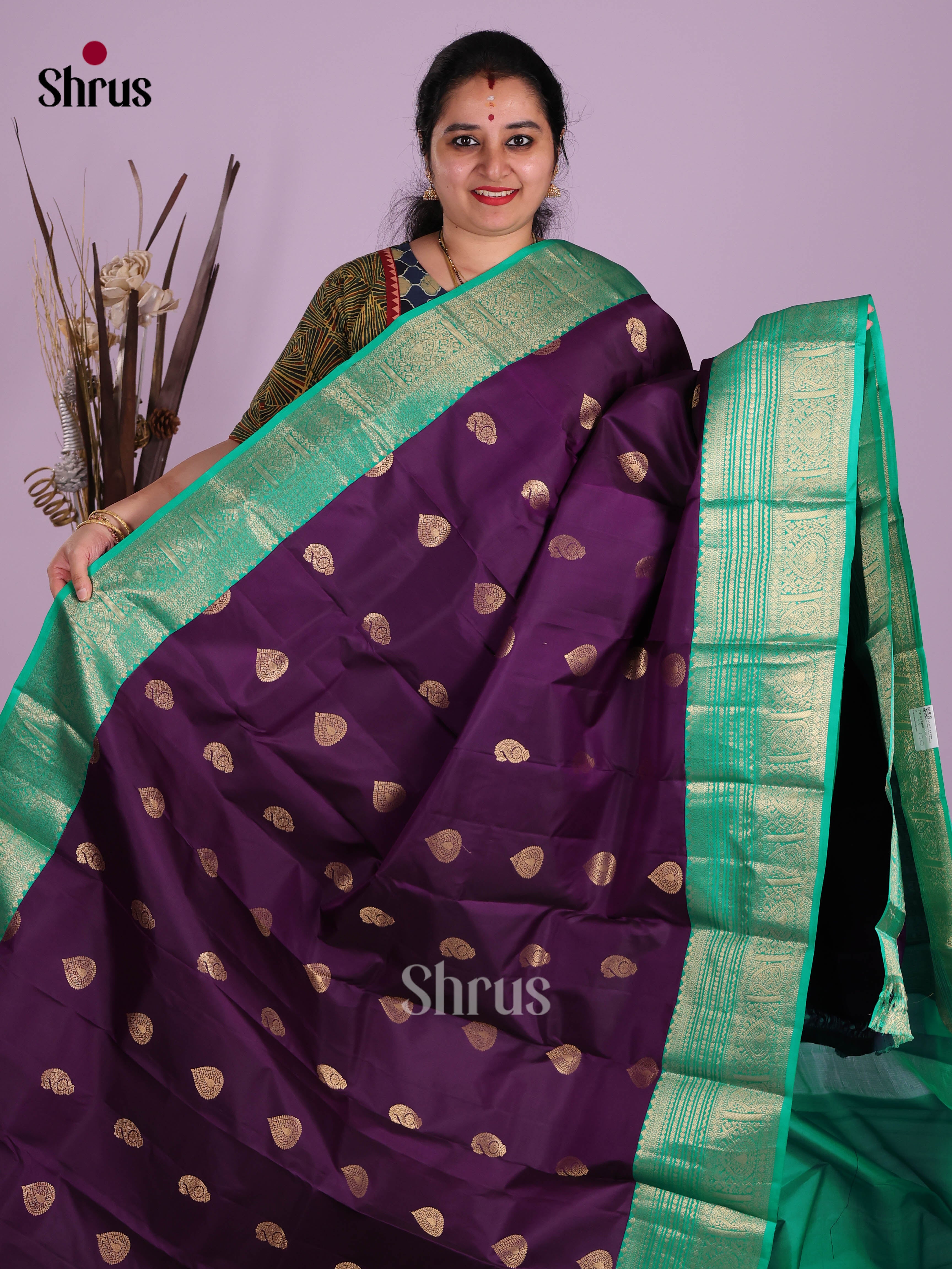 DKS13460 - Kanchipuram silk (HR) Saree