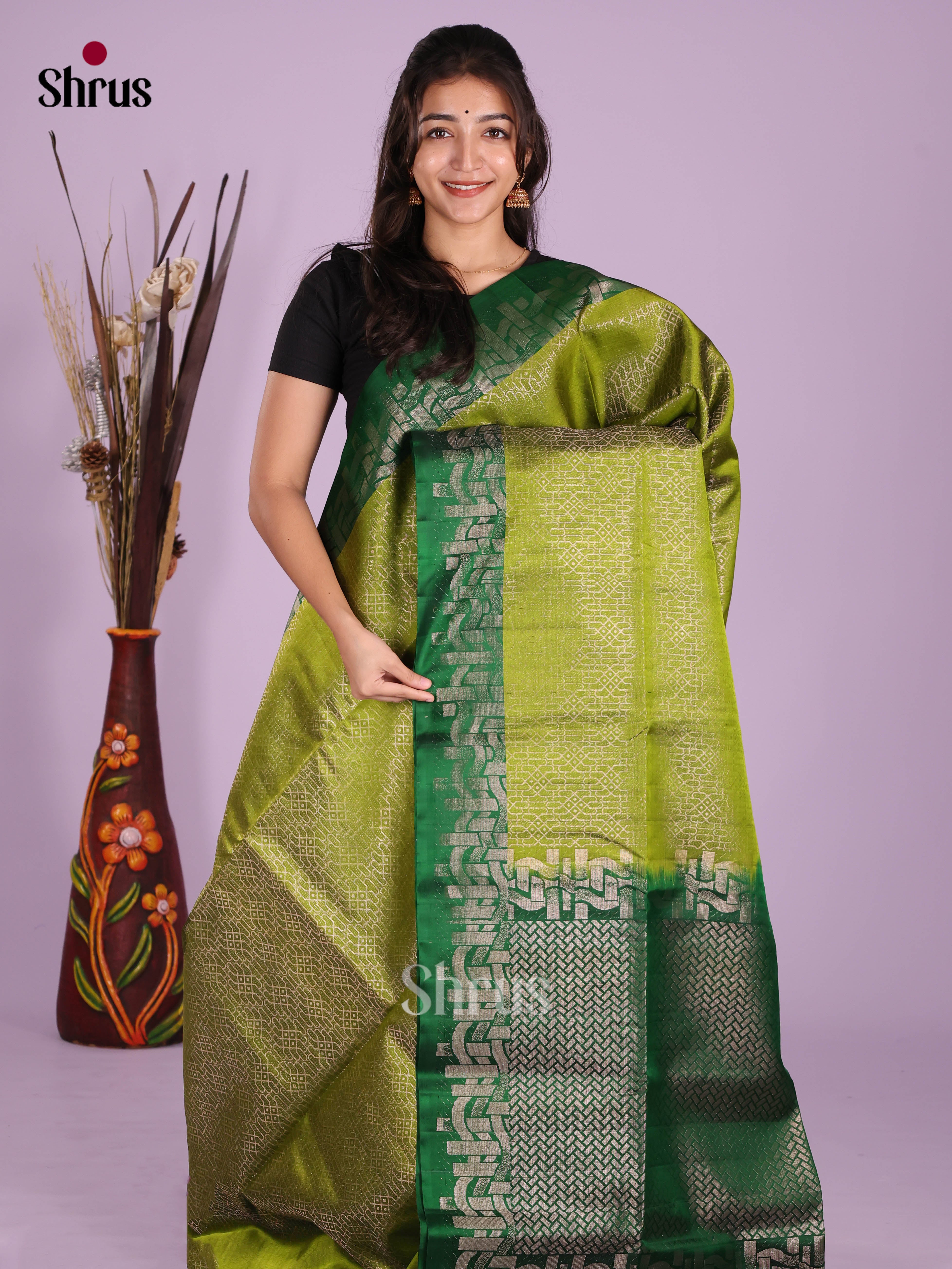 Light Green & Green Soft Silk  Saree gleams with zari brocade & rich pallu