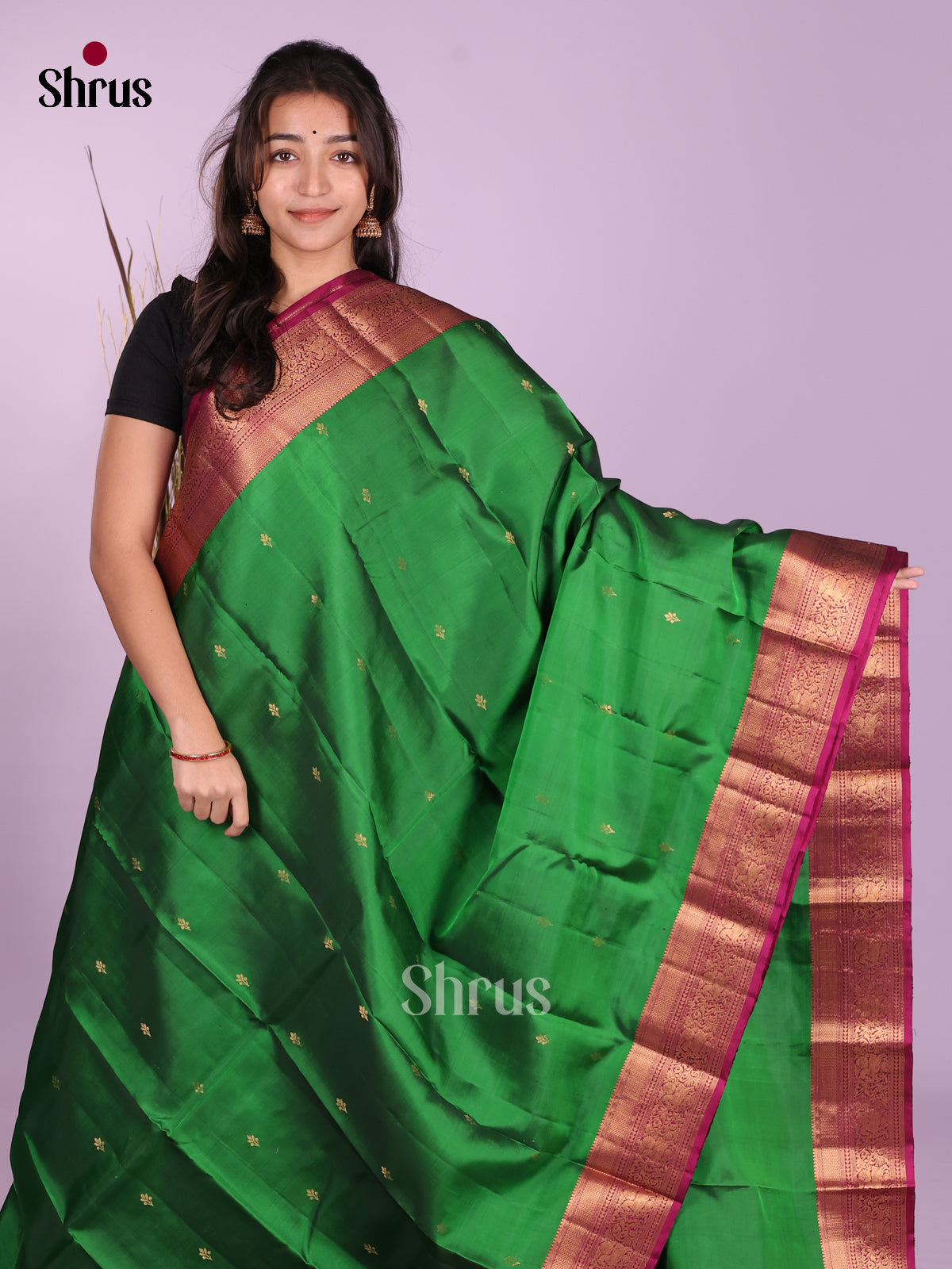DKS12020 - Kanchipuram-halfpure Saree