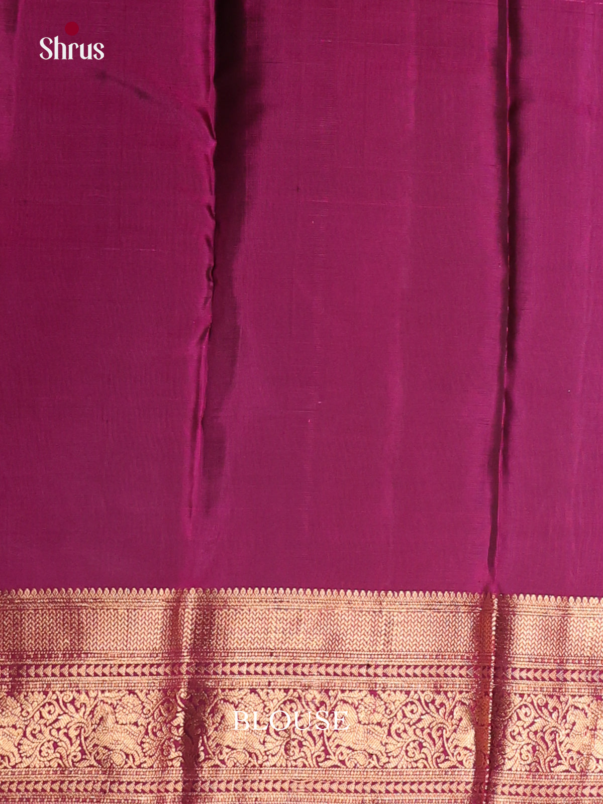 DKS12020 - Kanchipuram-halfpure Saree