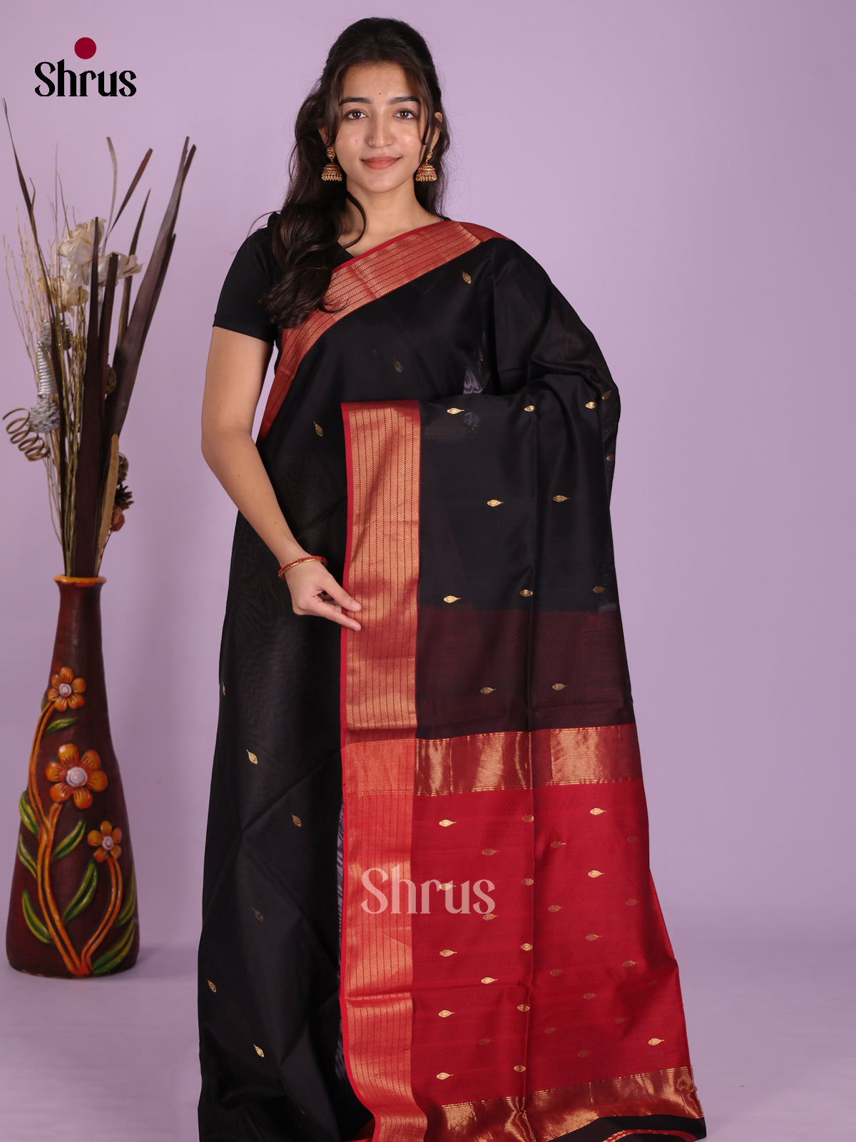 DKS12830 - Maheshwari silkcotton Saree