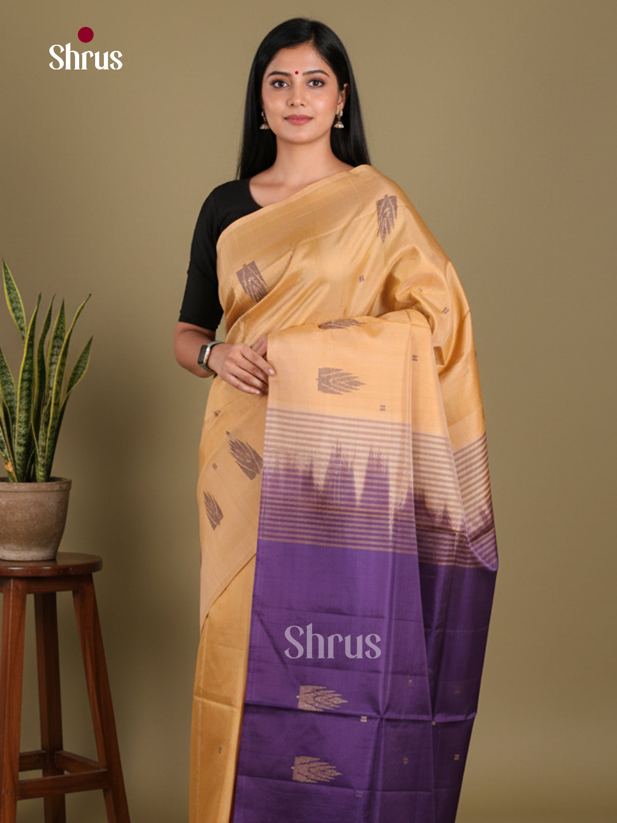 DKS13117 - Chettinad Cotton Saree