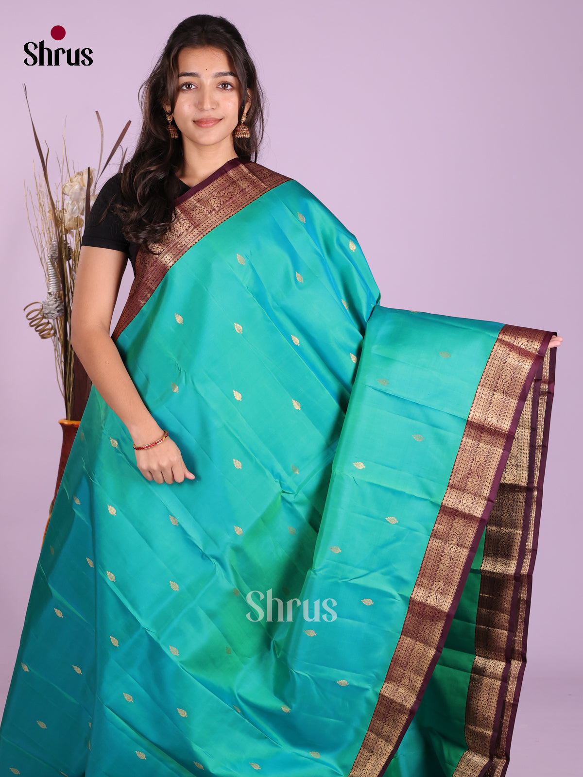 DKS13433 - Kanchipuram silk (HR) Saree