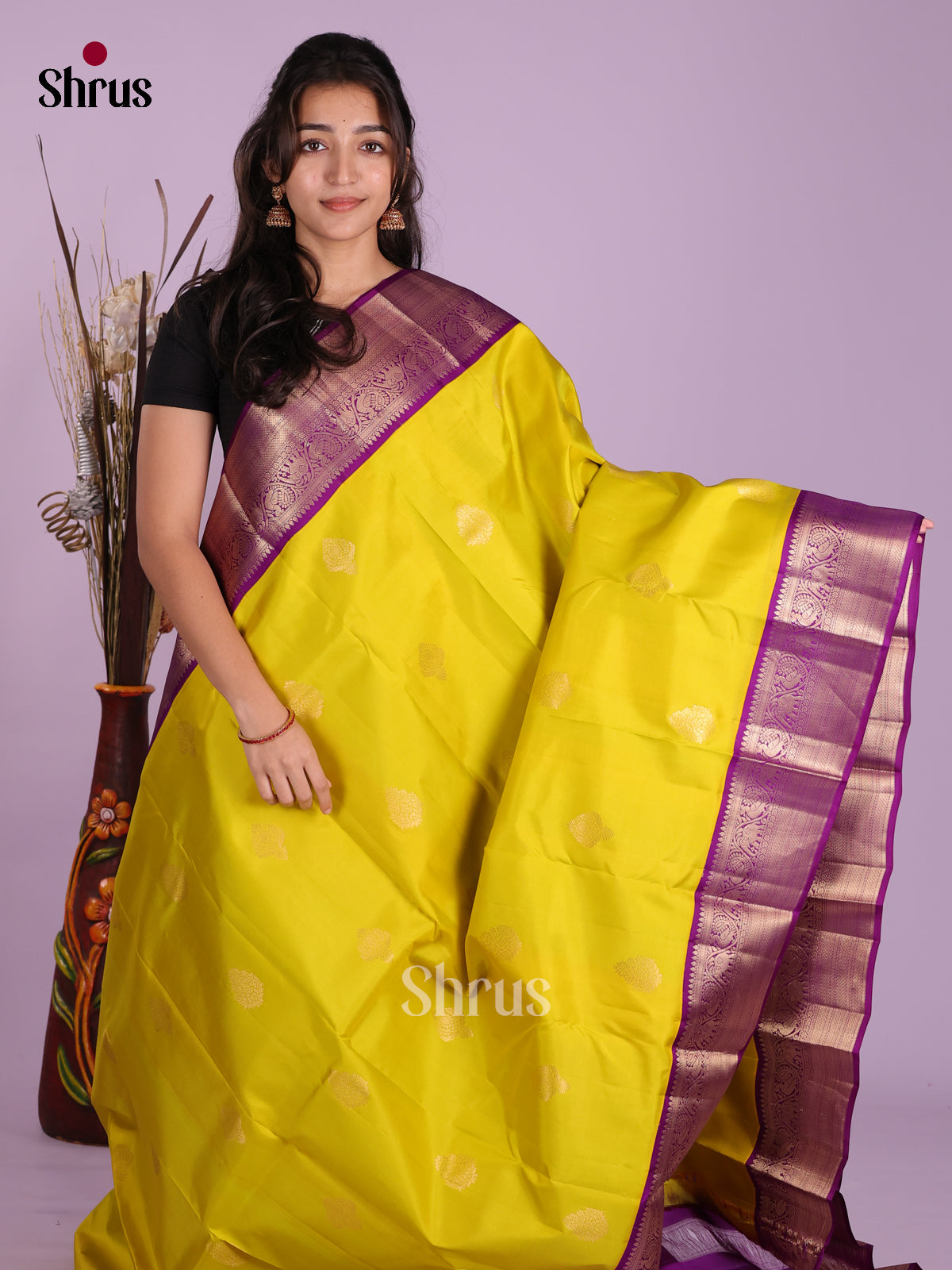 DKS13440 - Kanchipuram silk (HR) Saree