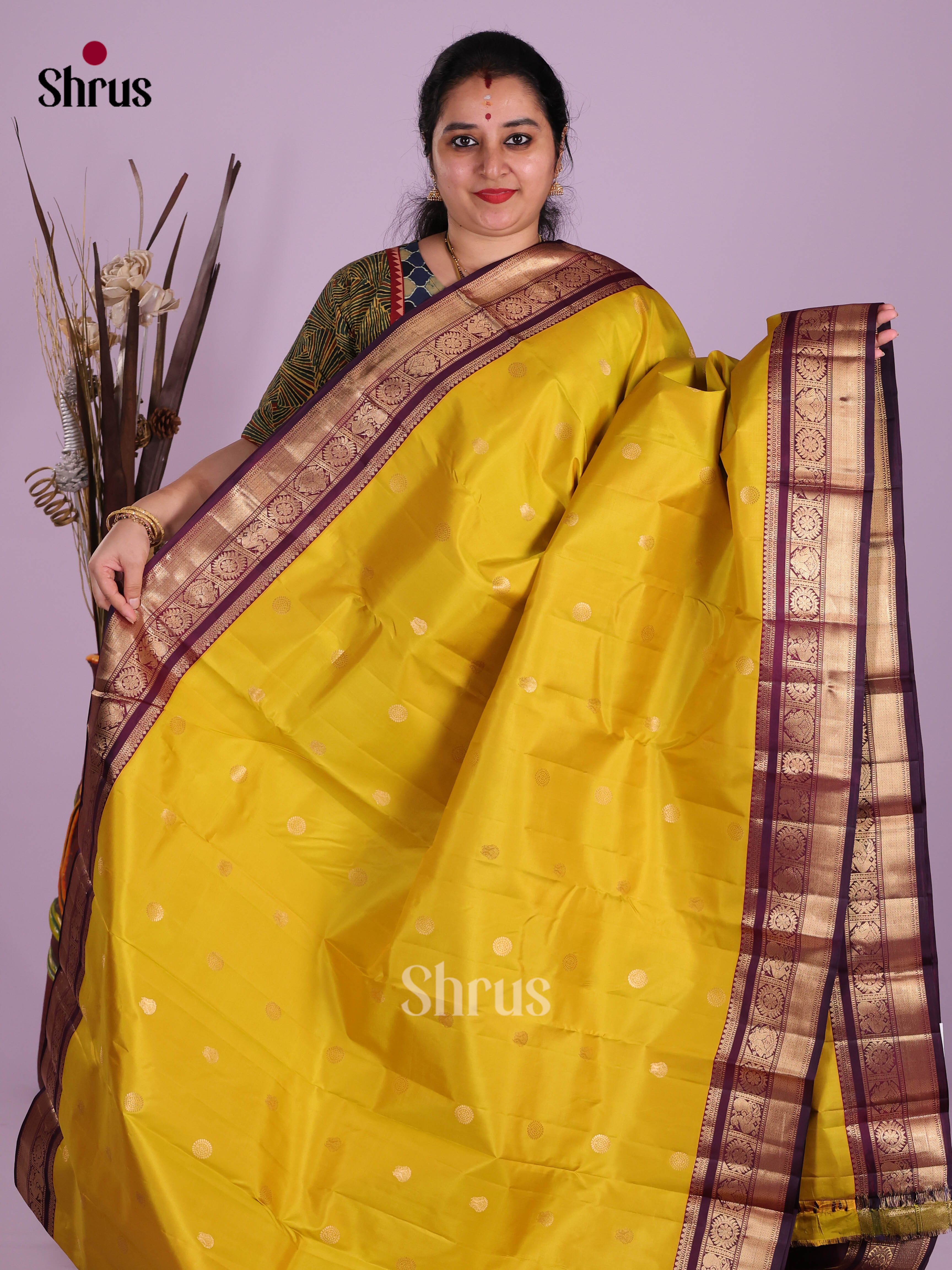 DKS13455 - Kanchipuram silk (HR) Saree - Shop on Shrus.com