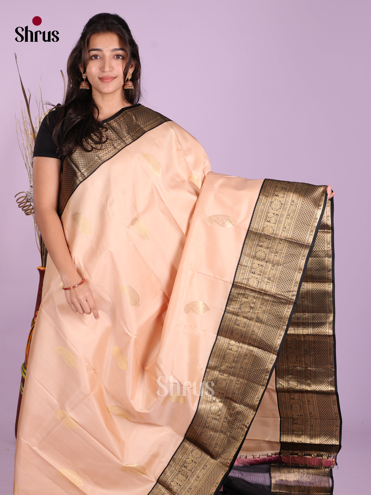 DKS13458 - Kanchipuram silk (HR) Saree