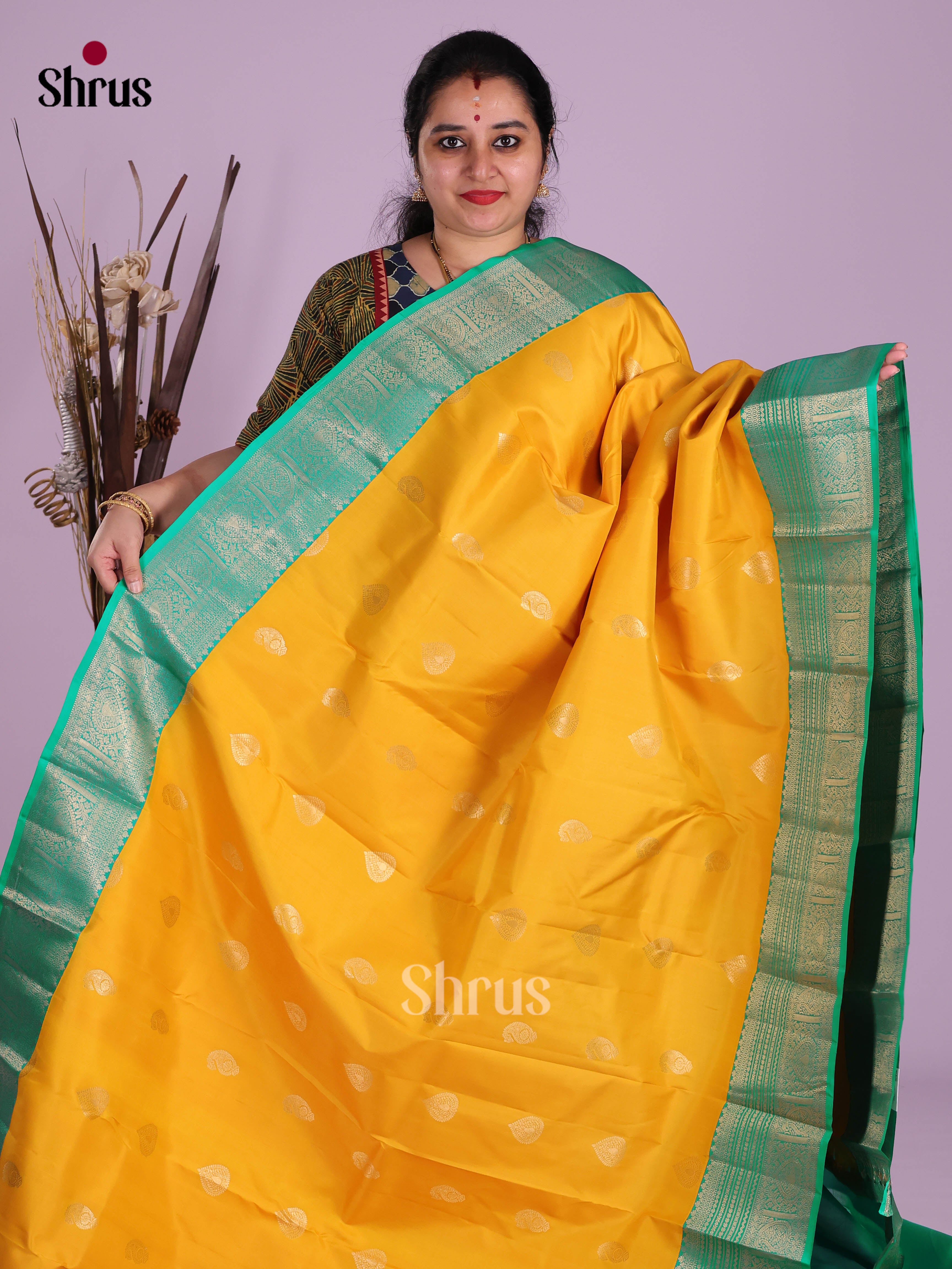 DKS13459 - Kanchipuram silk (HR) Saree