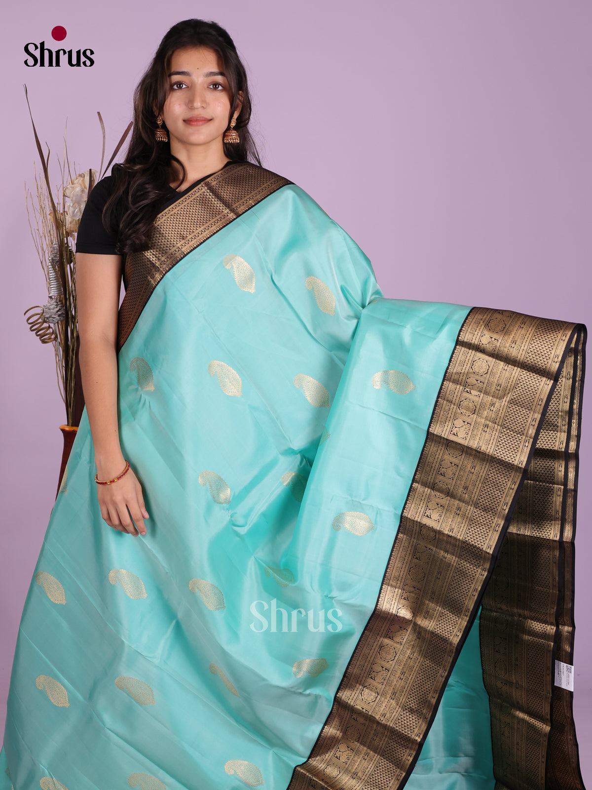 DKS13467 - Kanchipuram silk (HR) Saree