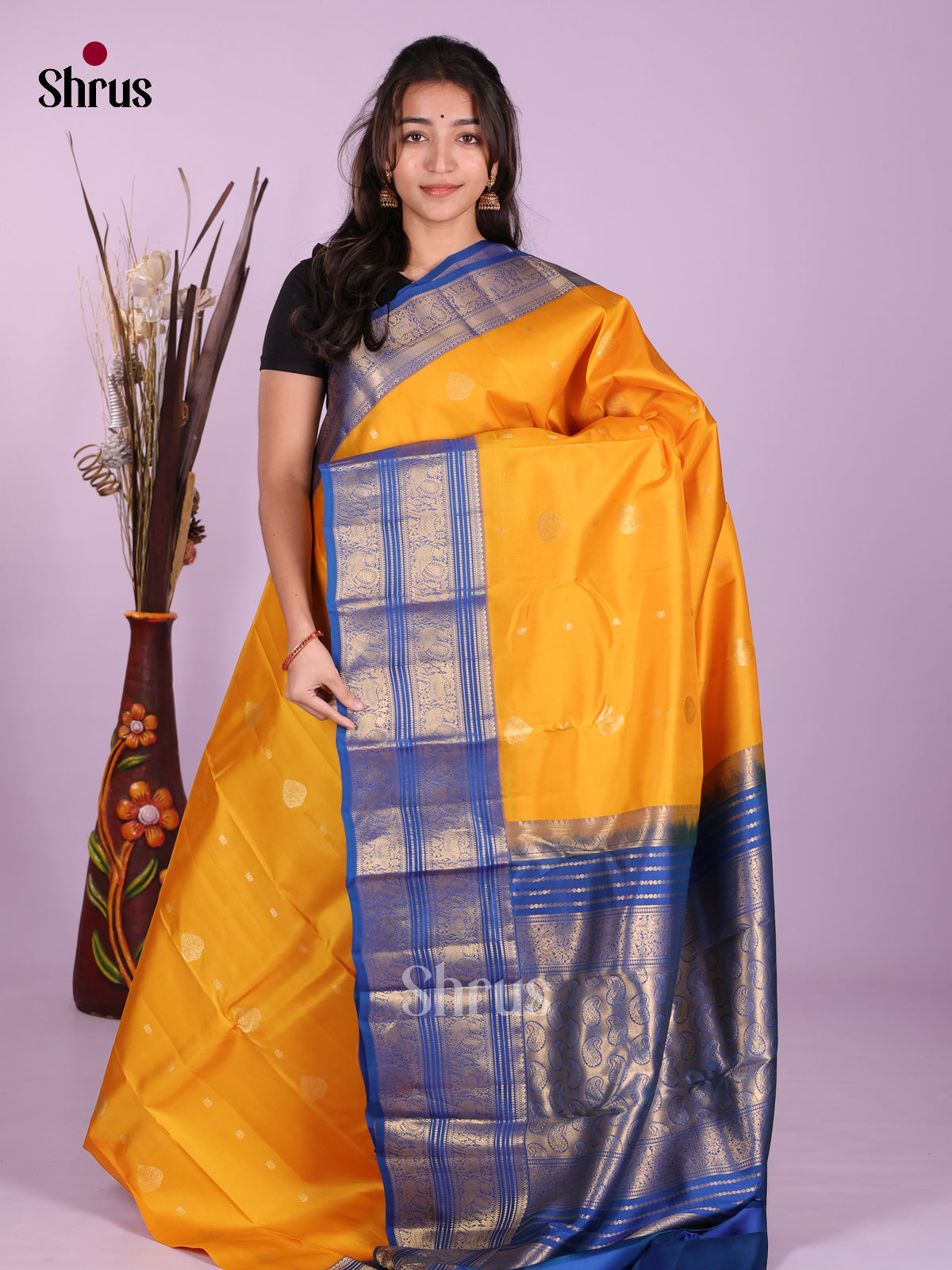 DKS13478 - Kanchipuram silk (HR) Saree - Shop on Shrus.com