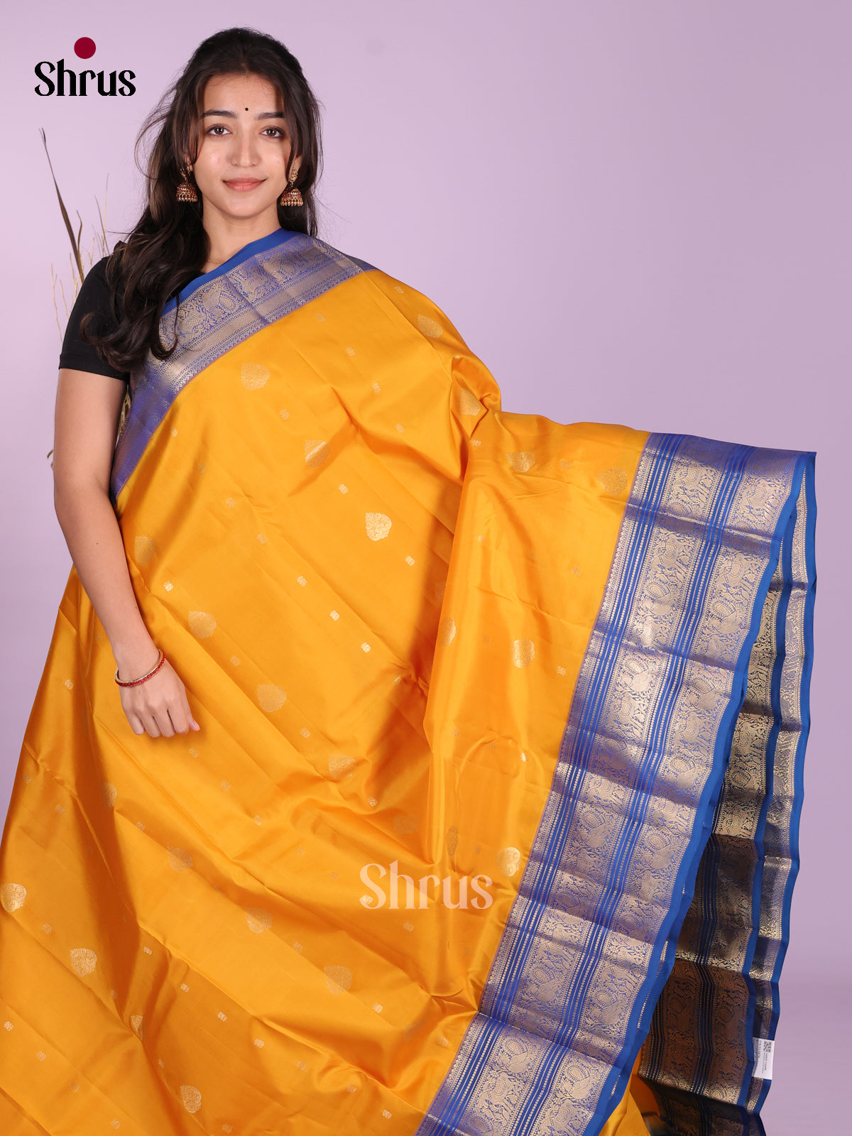 DKS13478 - Kanchipuram silk (HR) Saree - Shop on Shrus.com