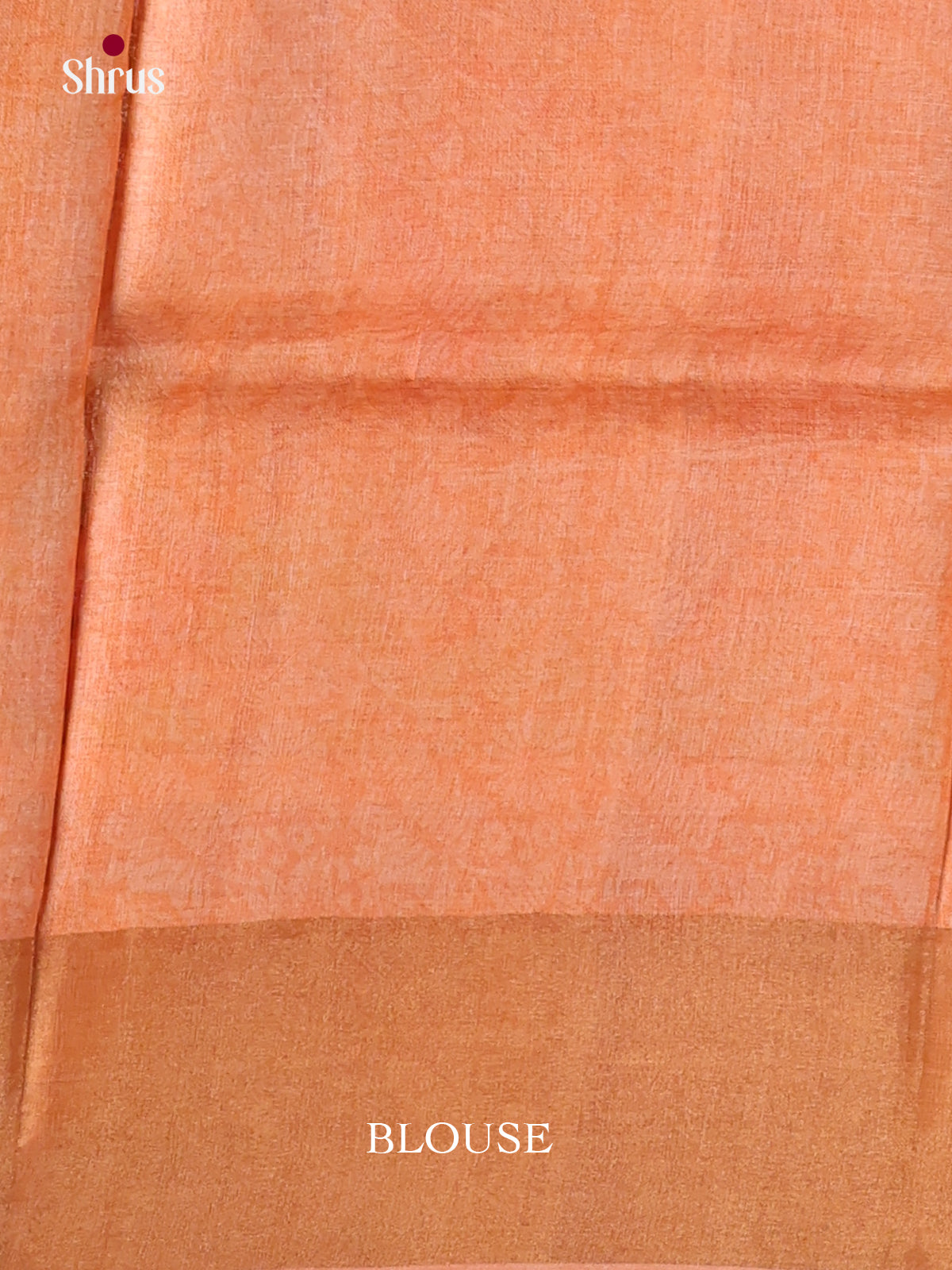 DKS15002 - Printed Tussar Saree