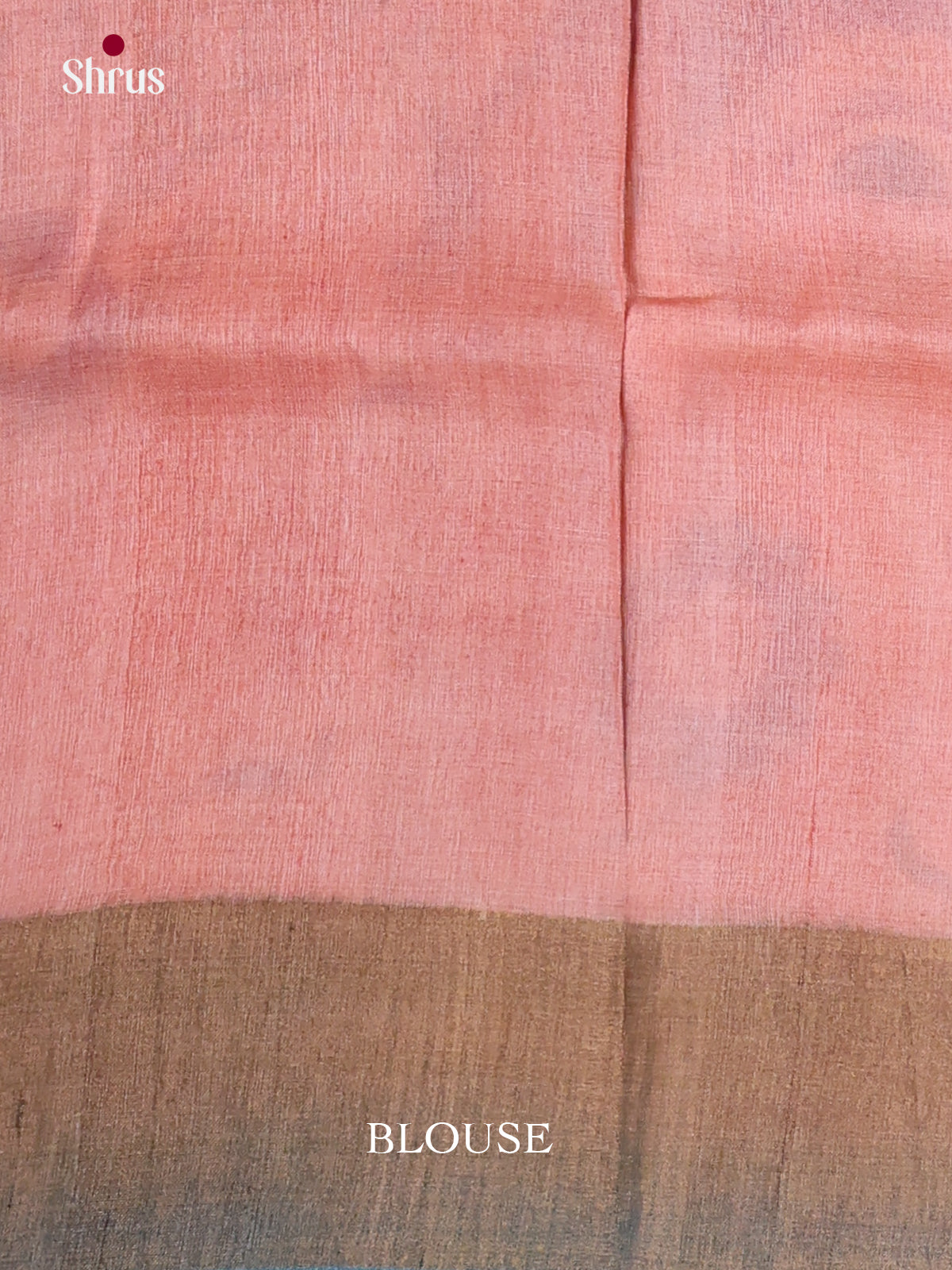 DKS15047 - Handpainted Tussar Saree