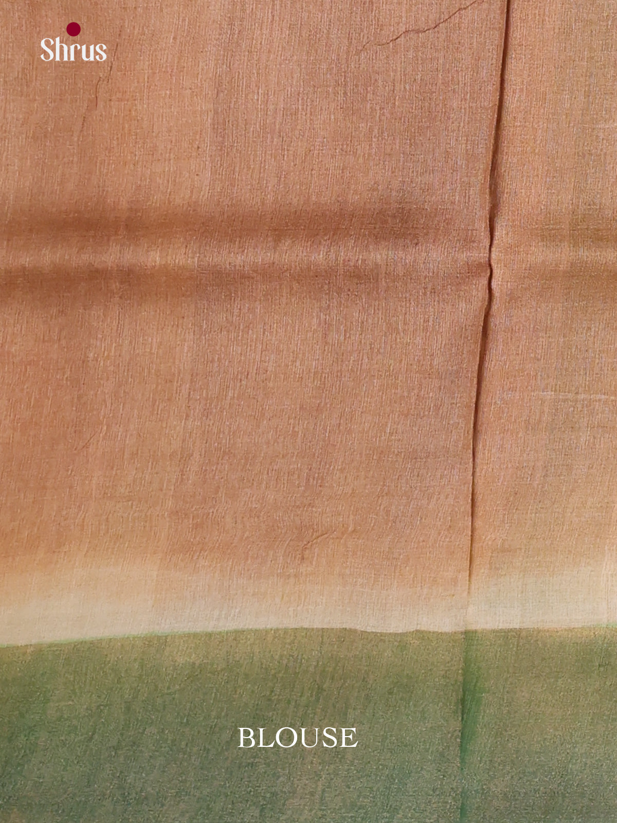 DKS15048 - Handpainted Tussar Saree