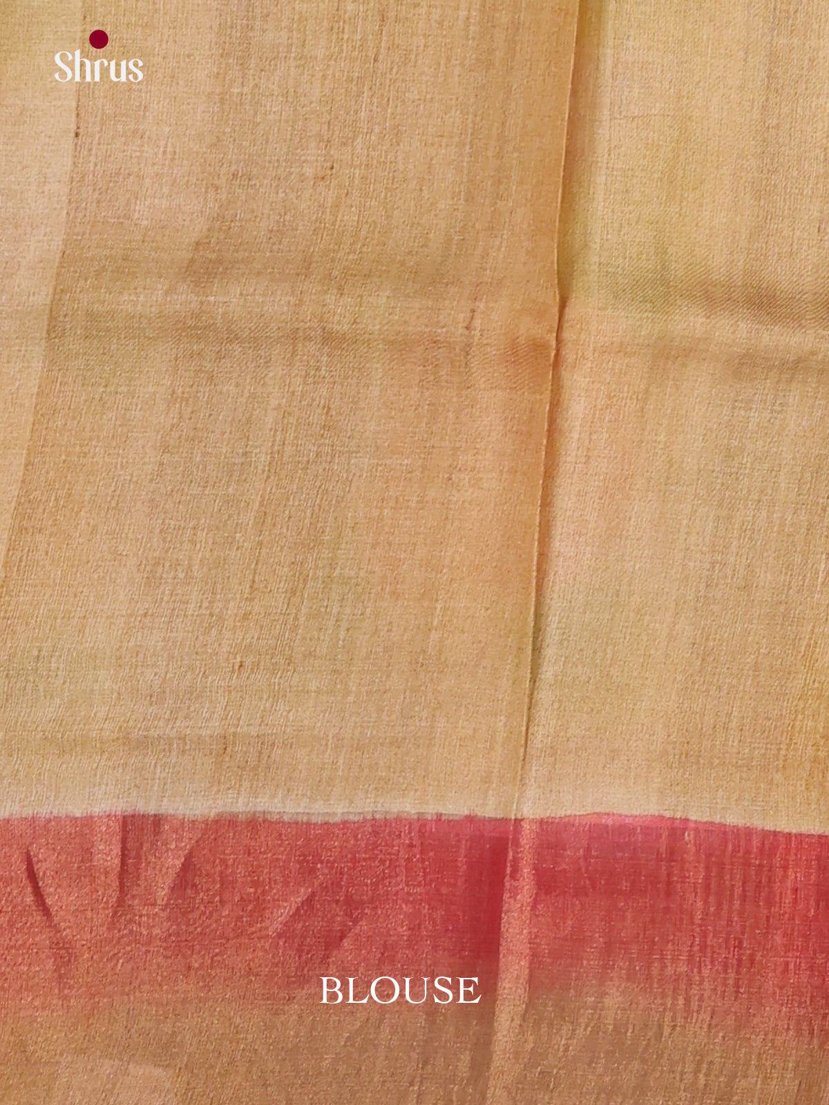 DKS15056 - Handpainted Tussar Saree