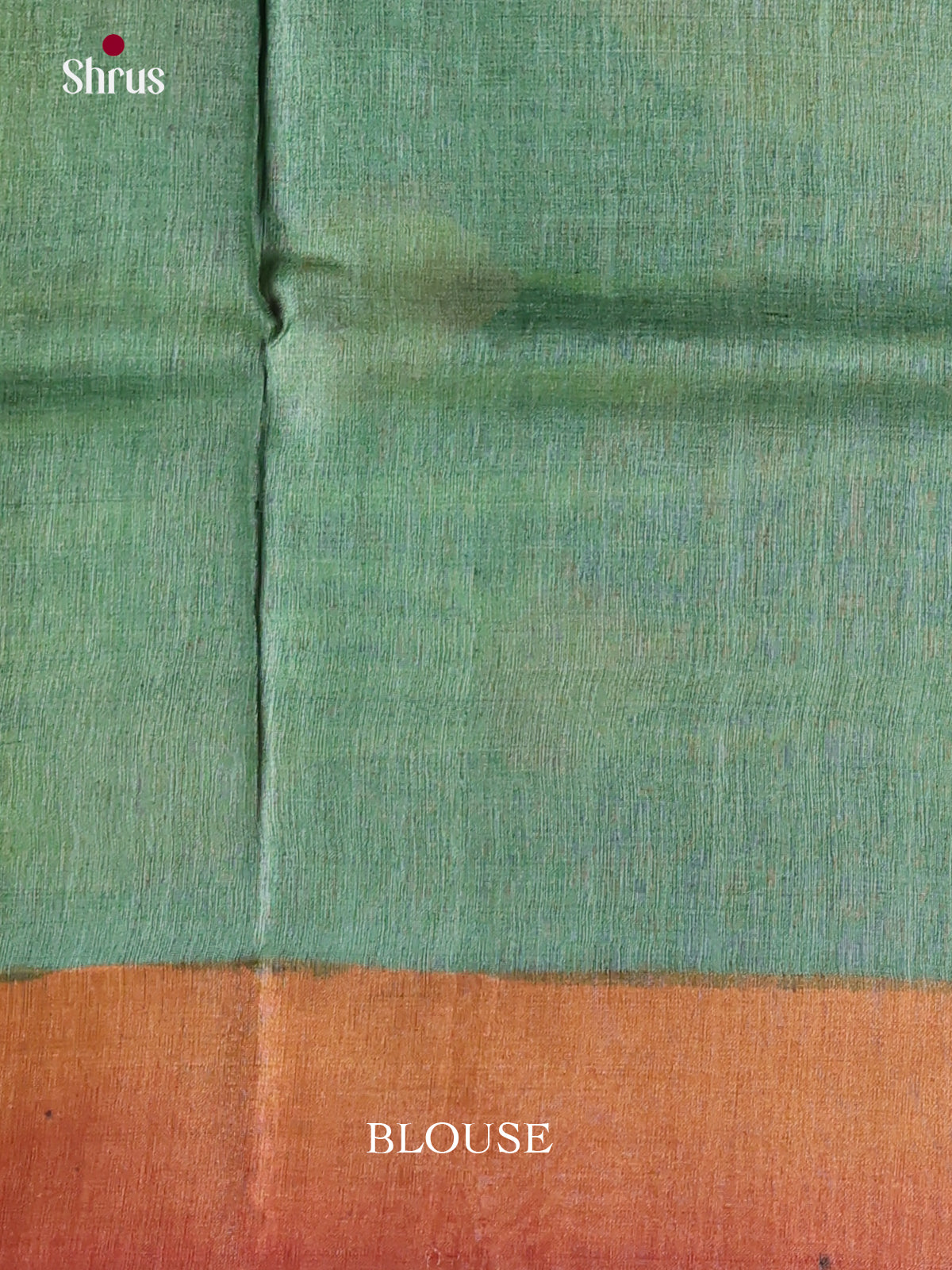 DKS15057 - Handpainted Tussar Saree