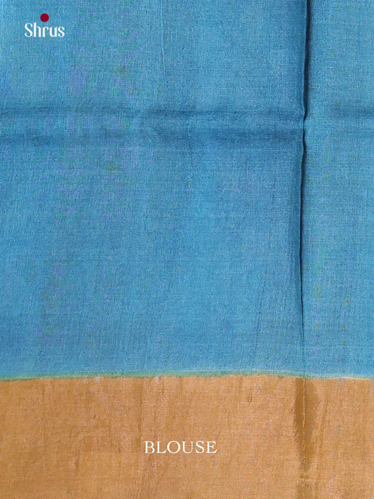 DKS15062 - Handpainted Tussar Saree - Shop on Shrus.com