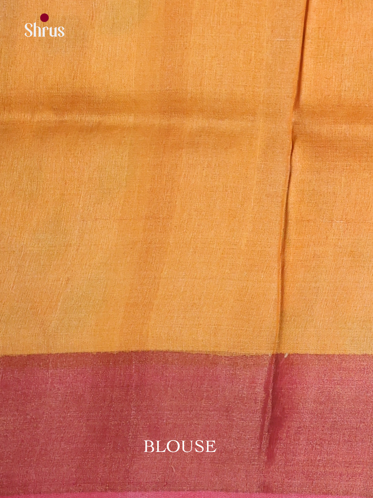 DKS15066 - Handpainted Tussar Saree