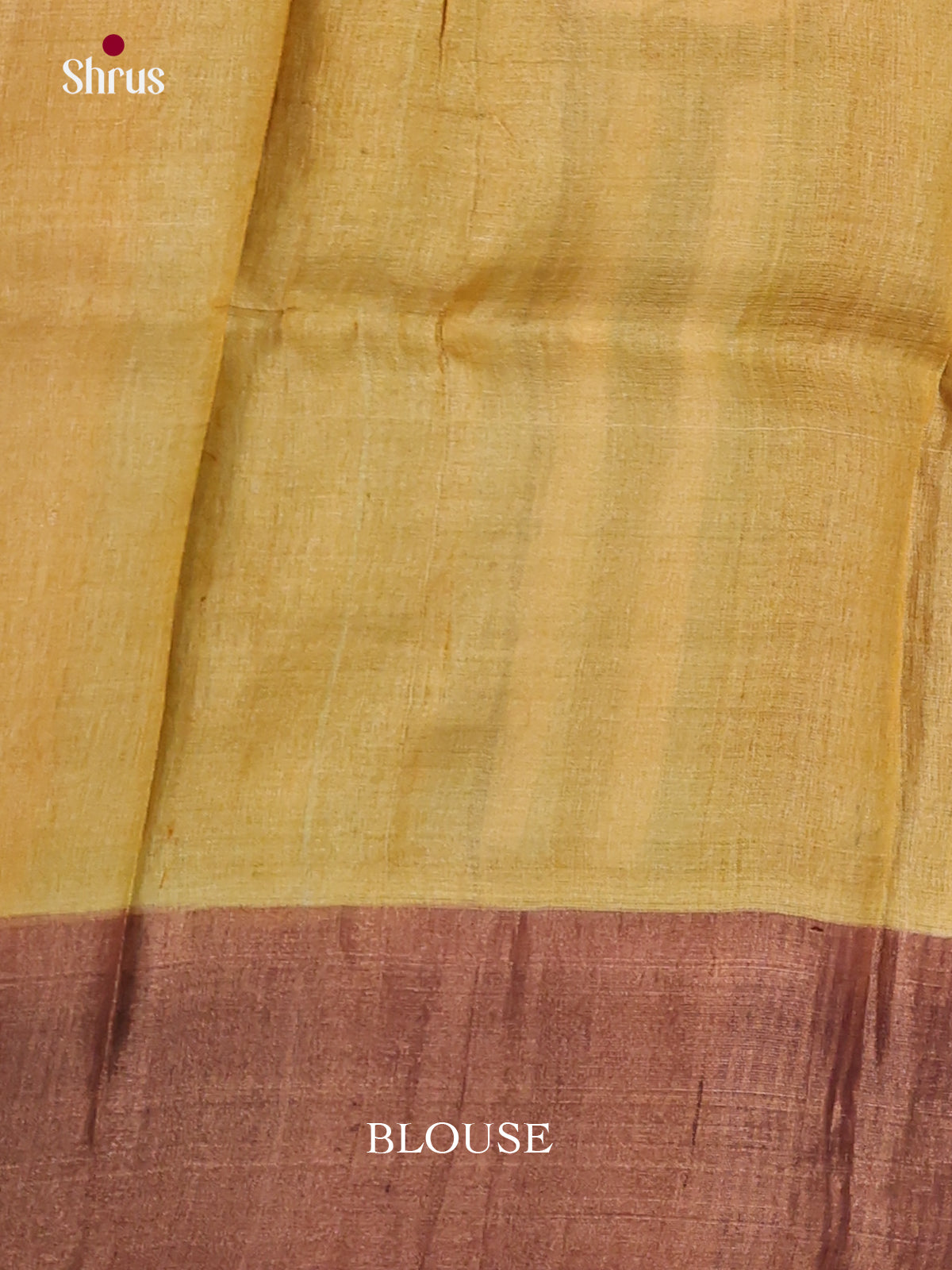 DKS15071 - Handpainted Tussar Saree