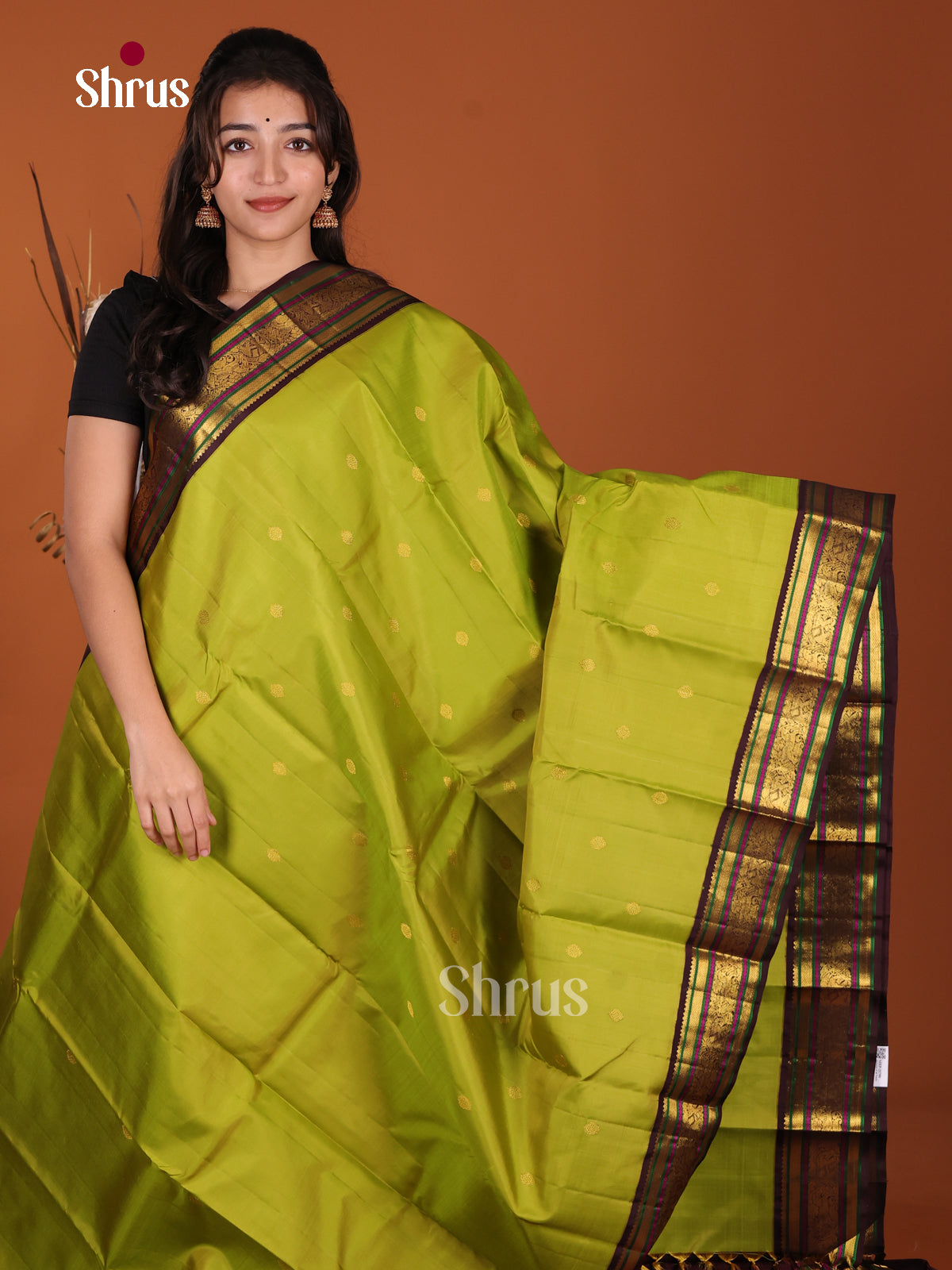 DKS22234 - Kanchipuram Korvai Plain Saree