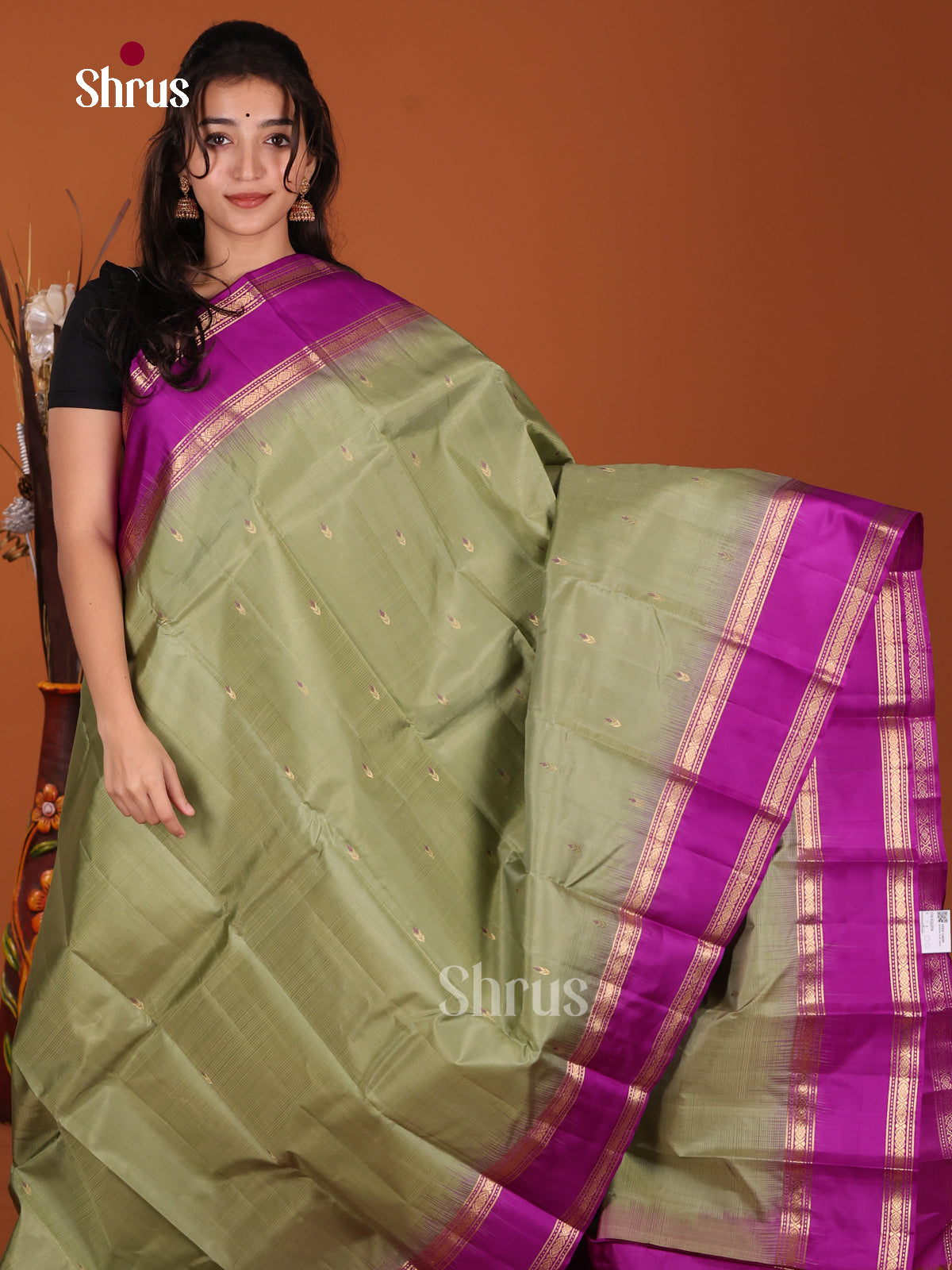 DKS22254 - Kanchipuram Rettapet Saree