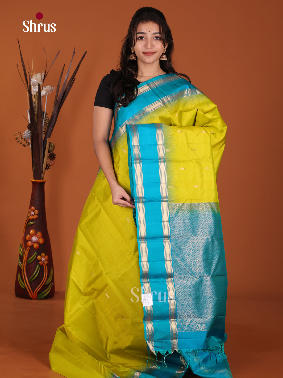 DKS22256 - Kanchipuram Rettapet Saree