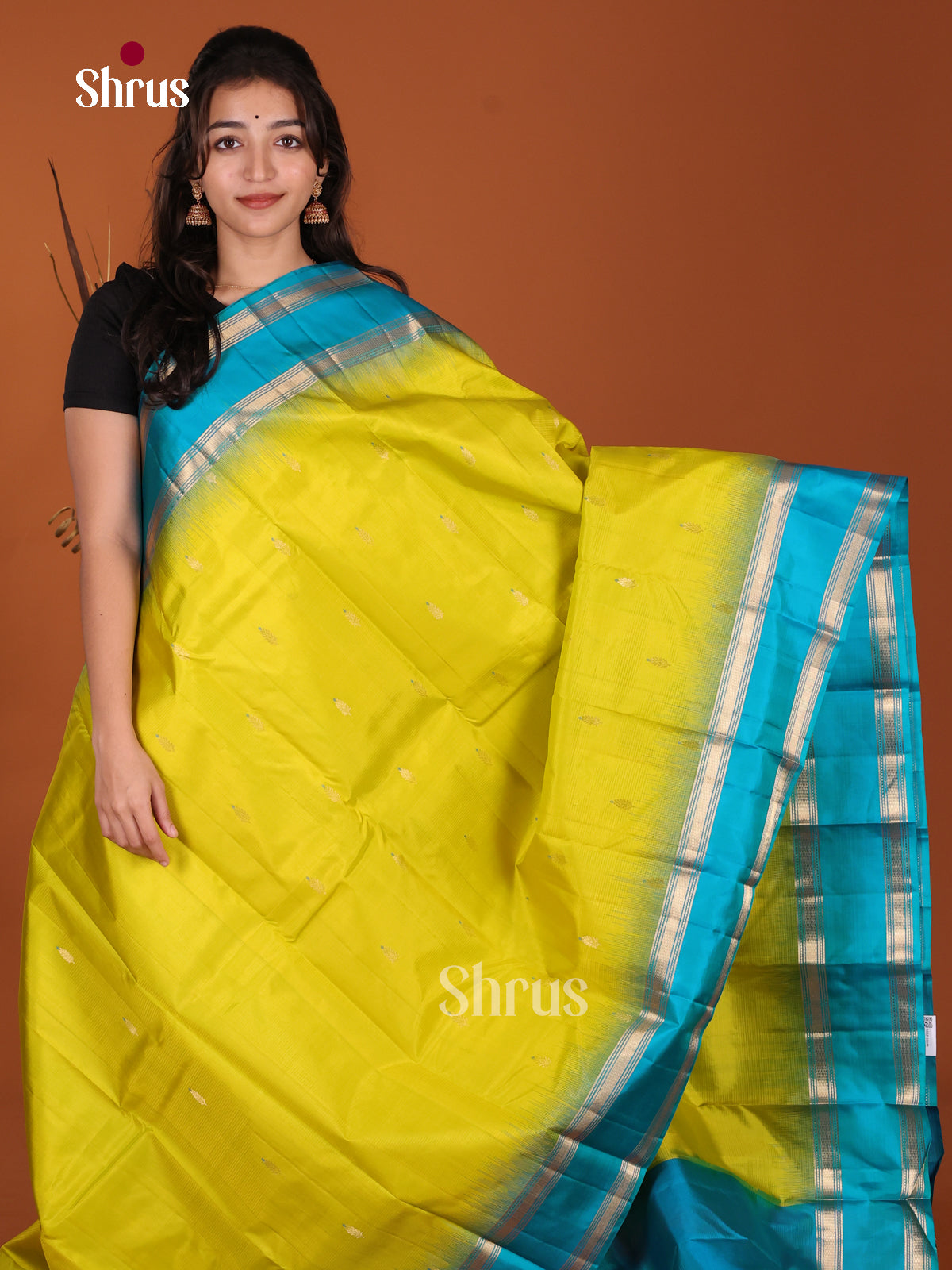 DKS22256 - Kanchipuram Rettapet Saree