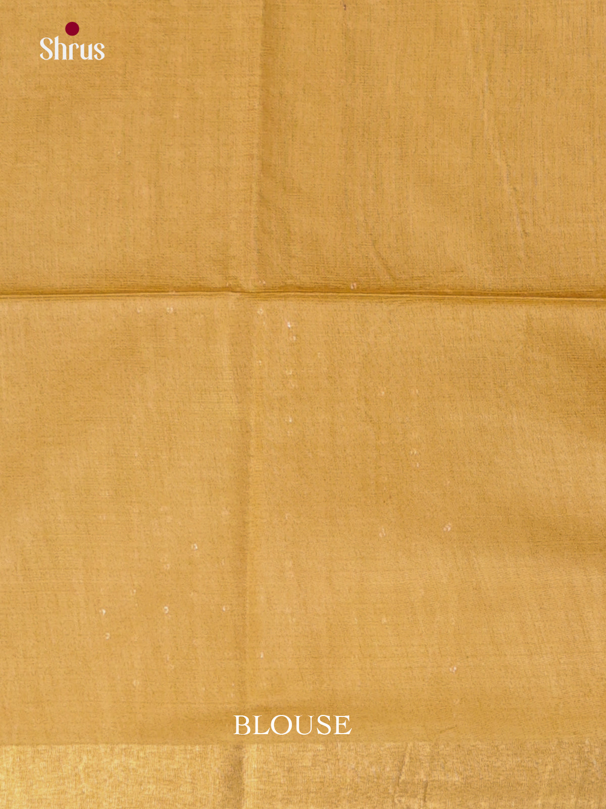 Green & Sandal - Shibori Saree