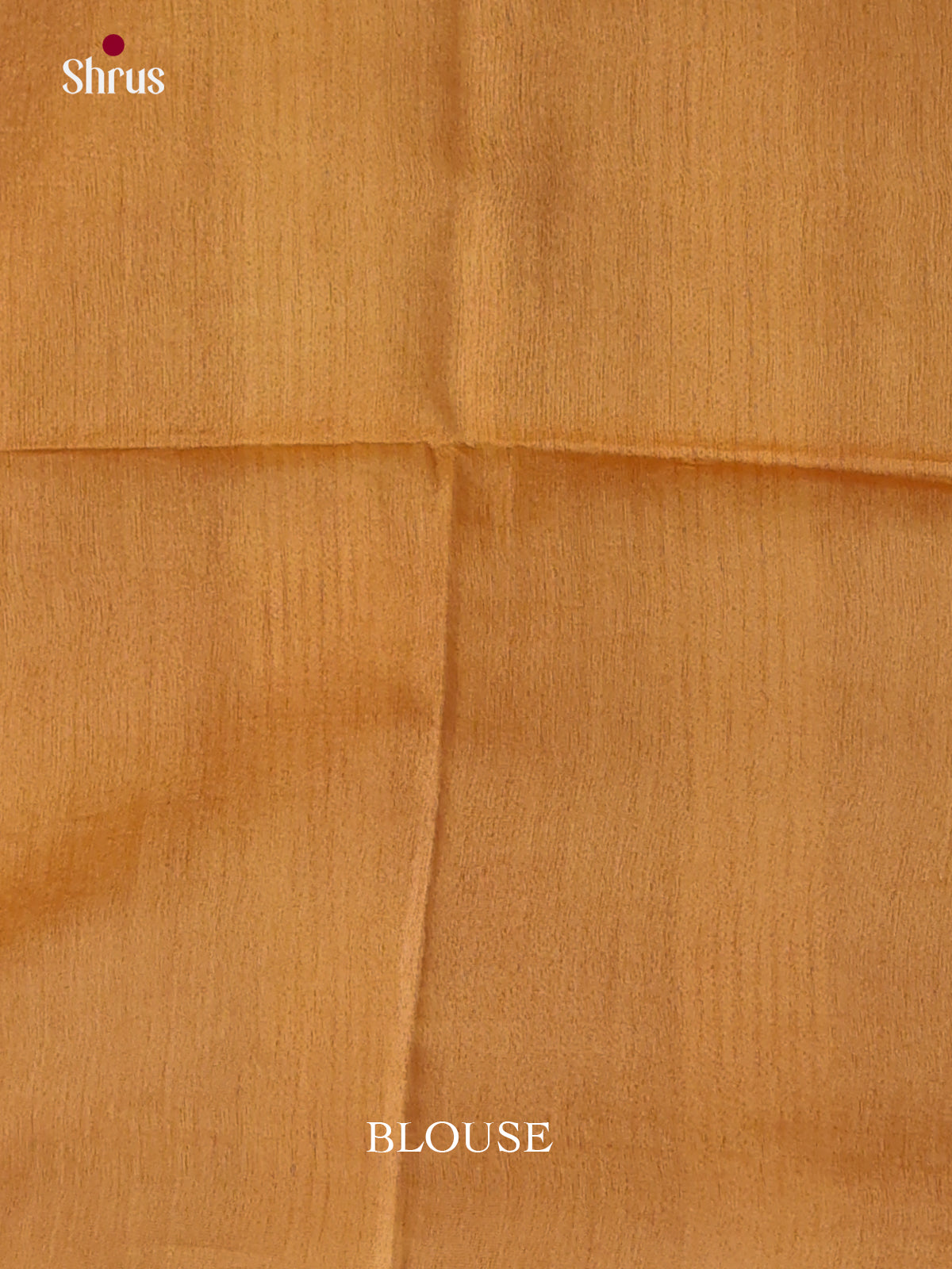 Cream & Brown- Shibori Saree