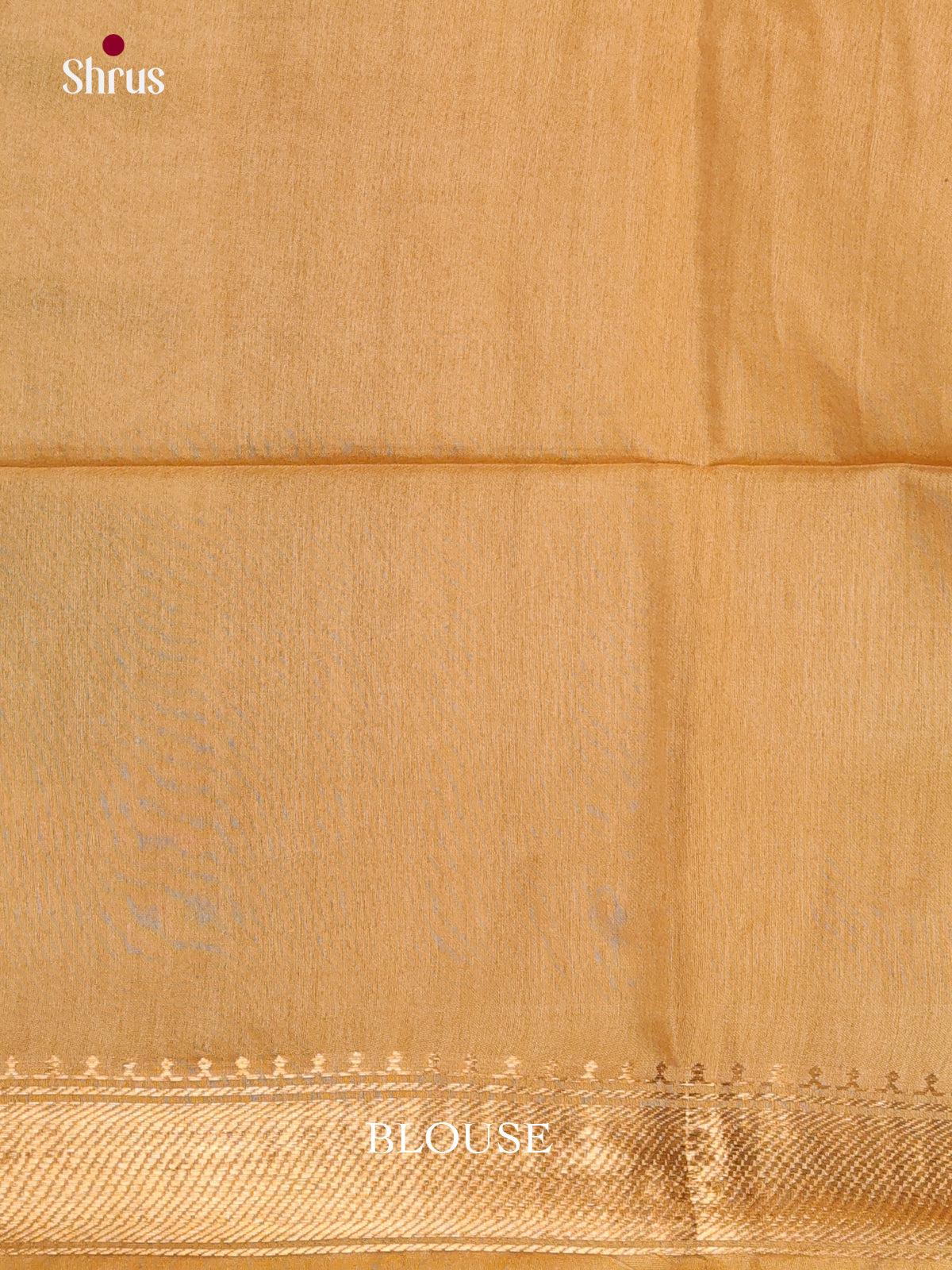 Cream & Beige- Shibori Saree