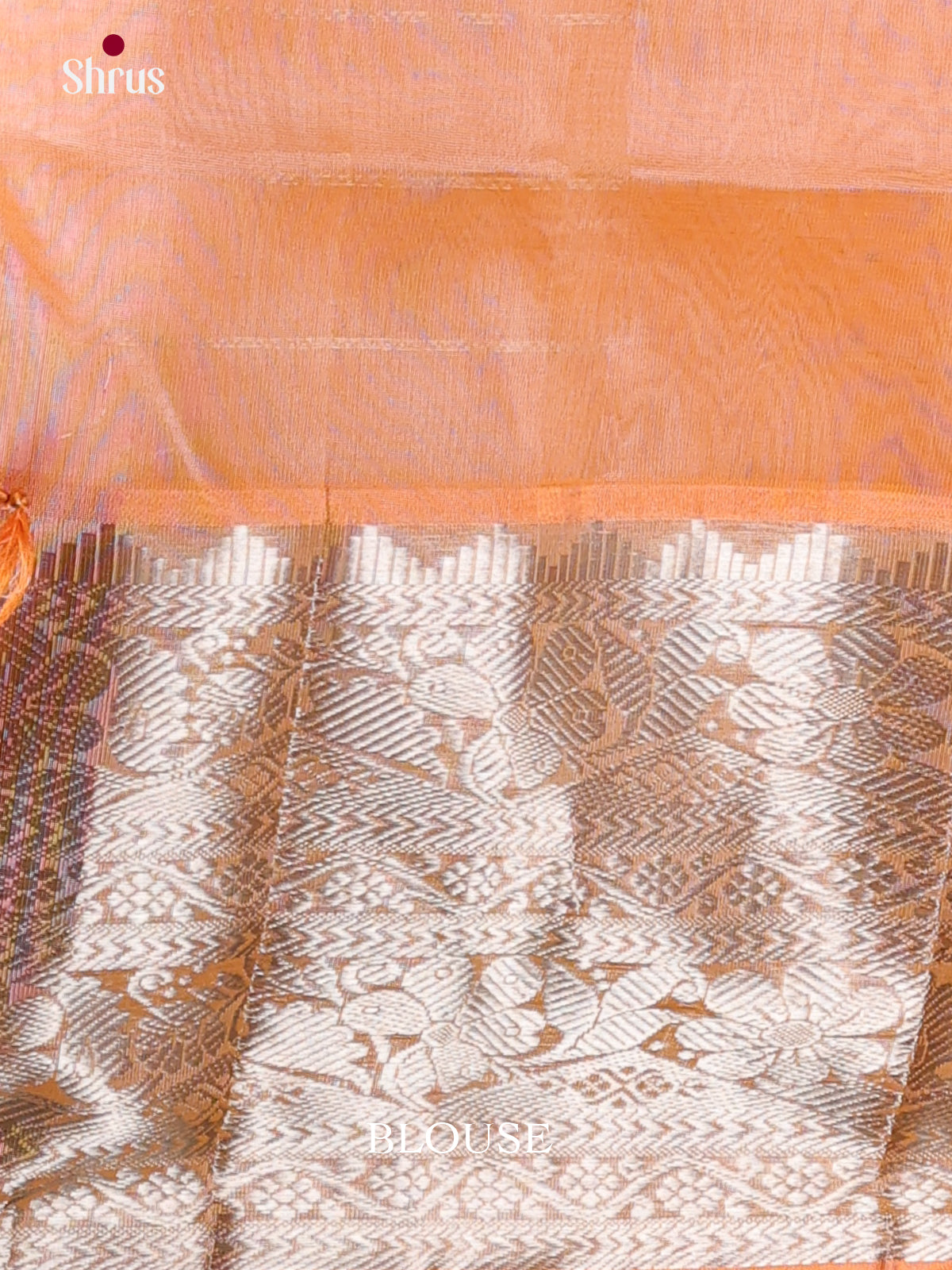 DKS24258 - Silk Cotton Saree - Shop on Shrus.com