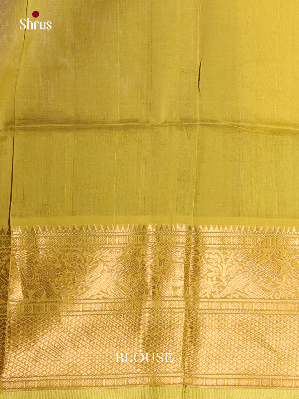 DKS24291 - Silk Cotton Saree - Shop on Shrus.com