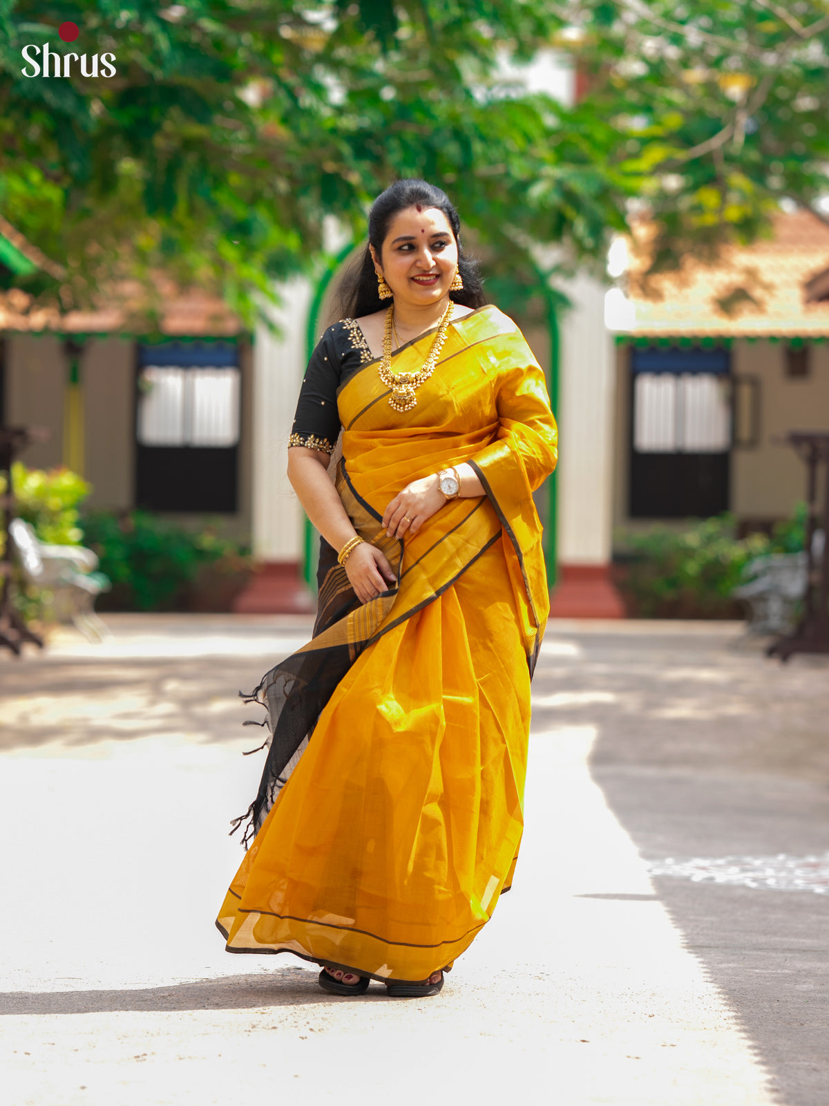 Glorious Mustard & Black  Silk Cotton Saree with kaddi zari border - Shop on Shrus.com