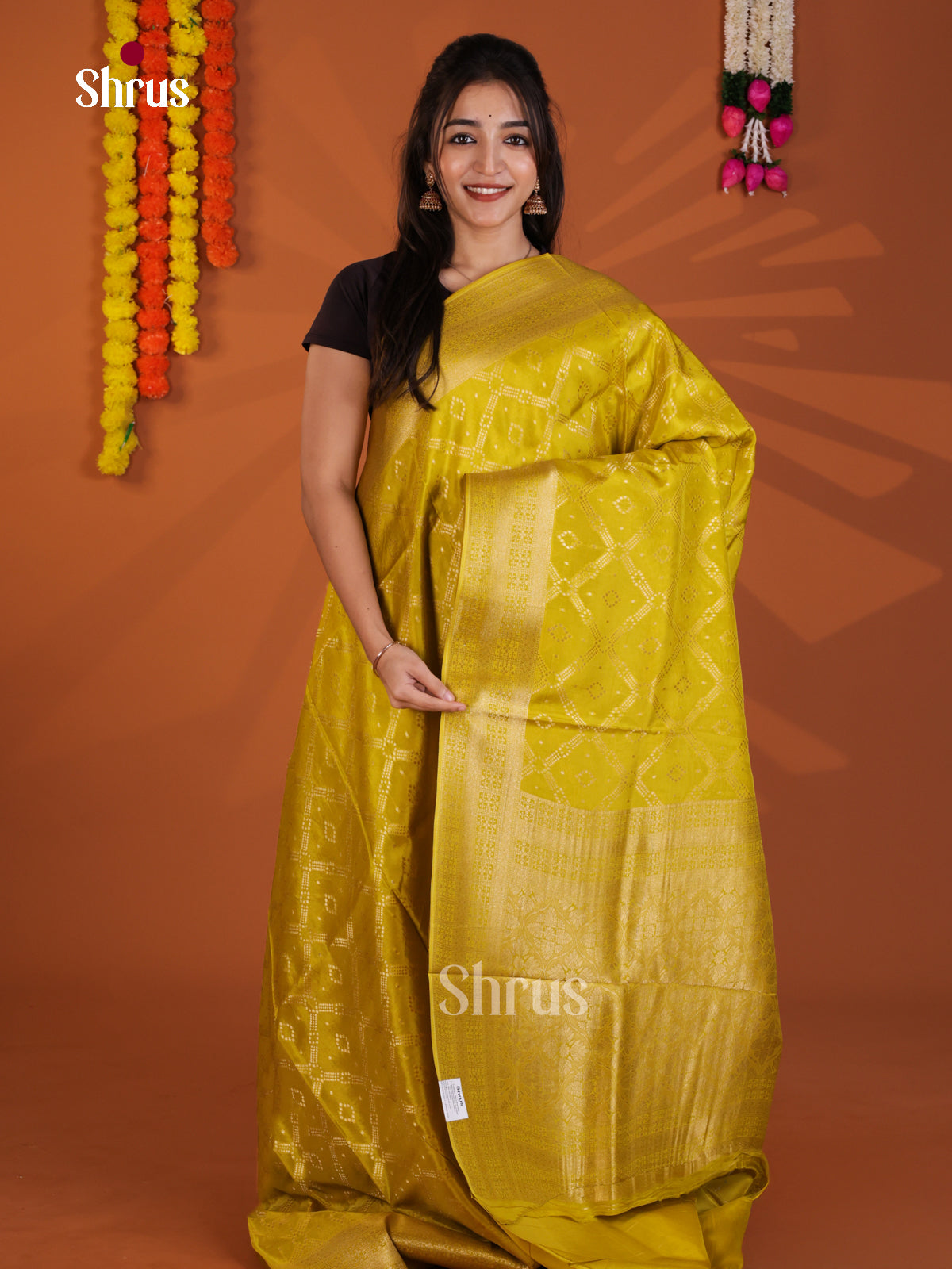 DKS27009 - Semi Chiniya Saree