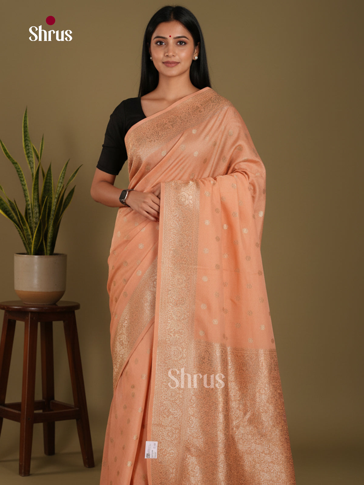 DKS27094 - Semi Georgette Saree