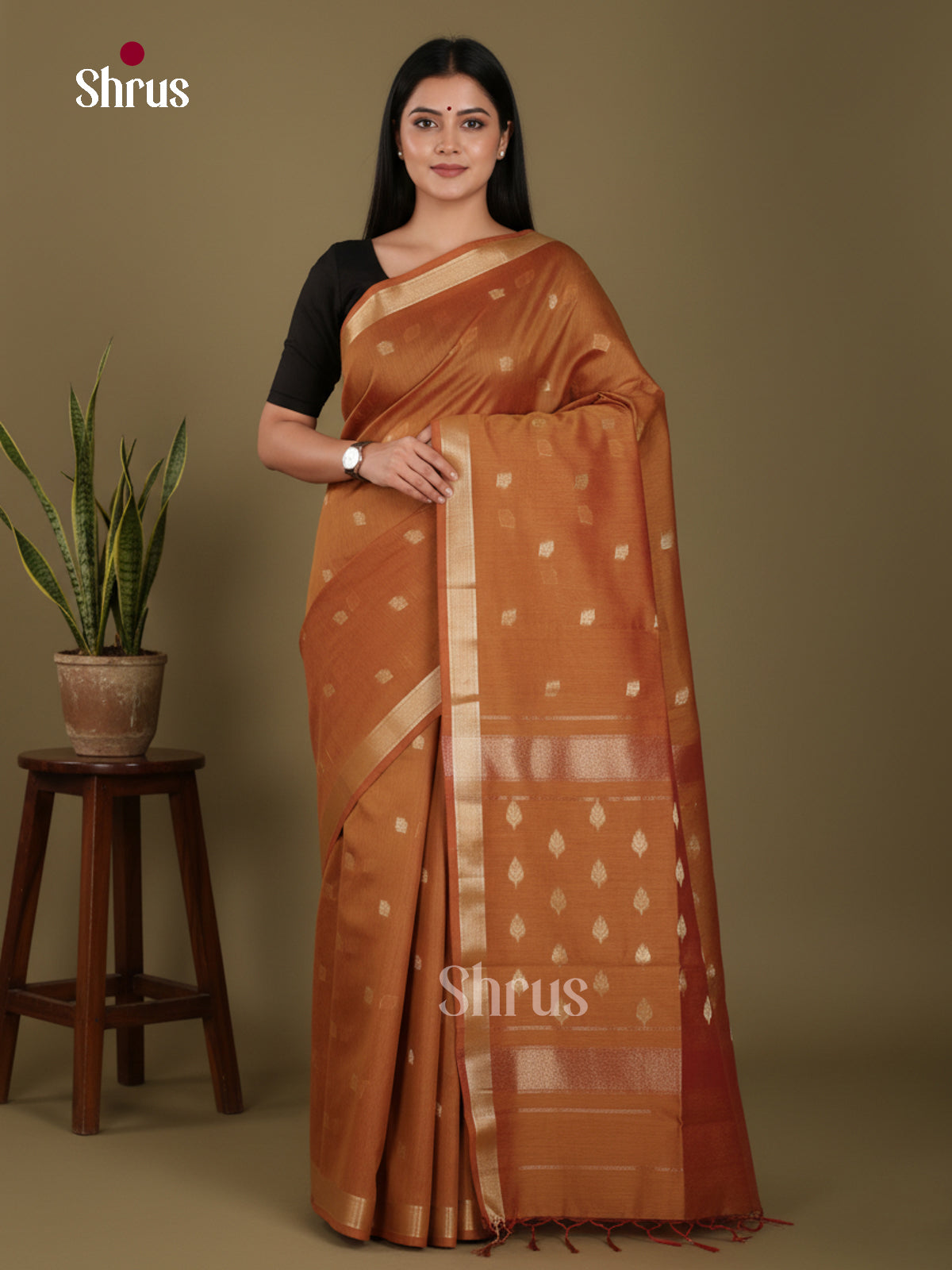 Honey - Art Maheshwari  Saree