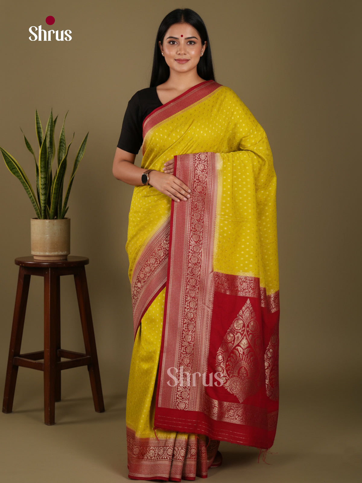 DKS29163 - Semi Georgette Saree