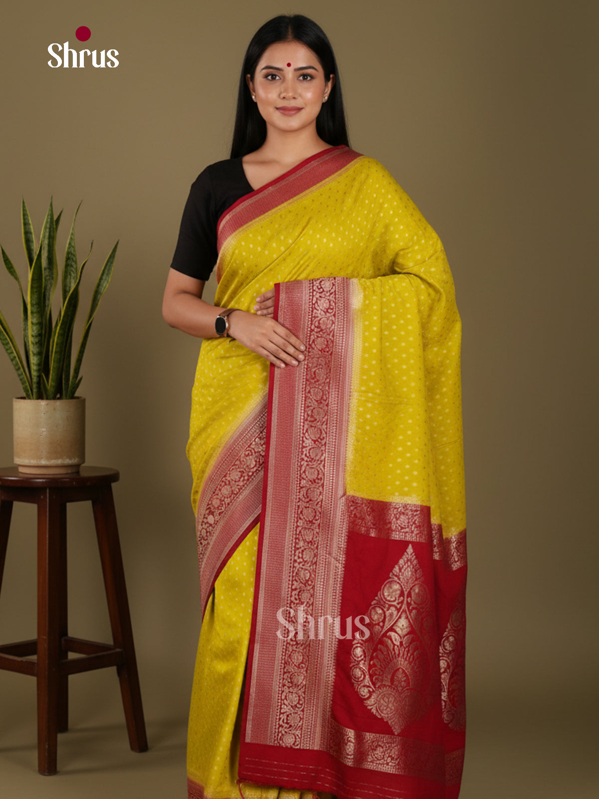 DKS29163 - Semi Georgette Saree